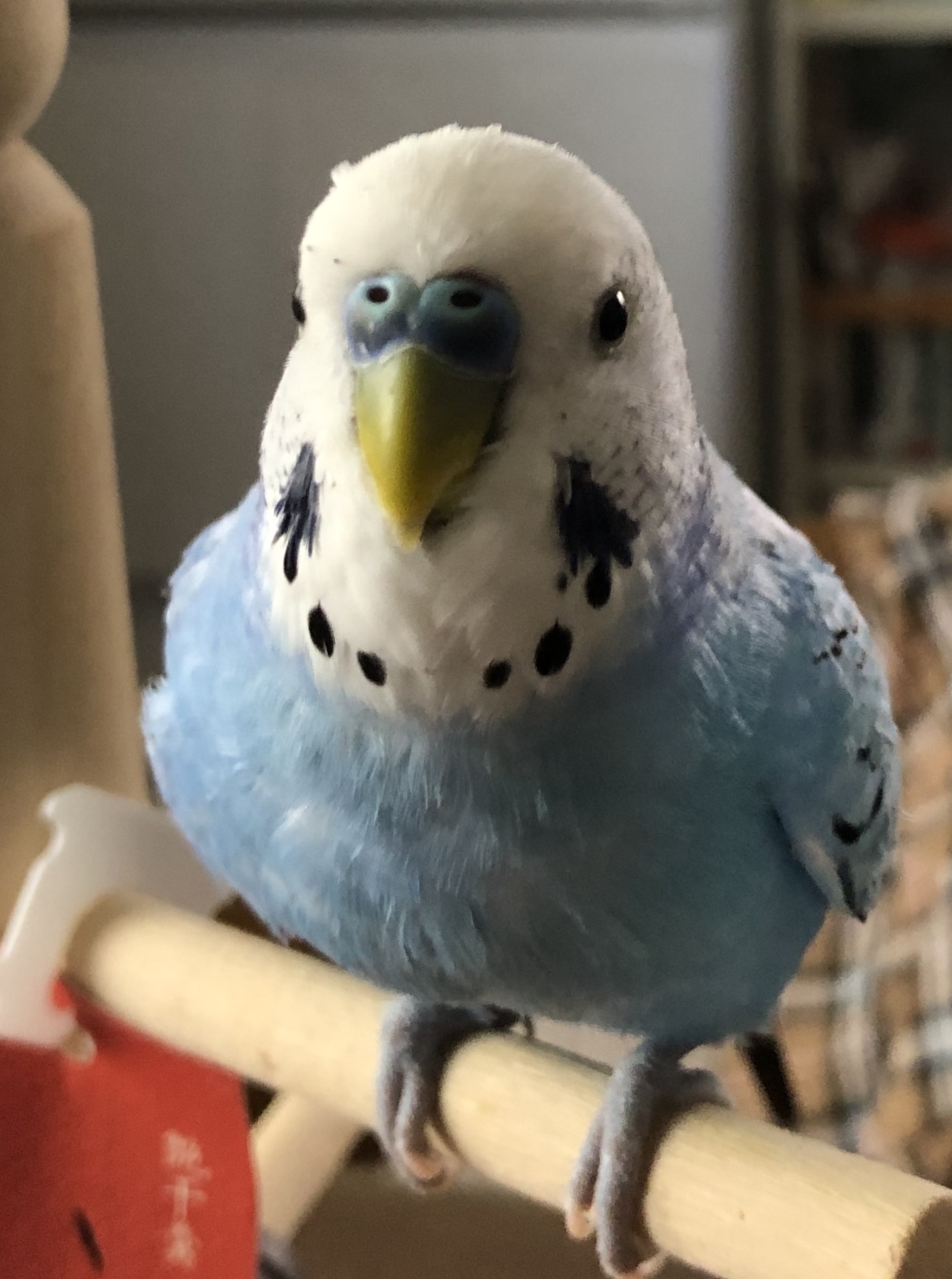 ユーザーの写真