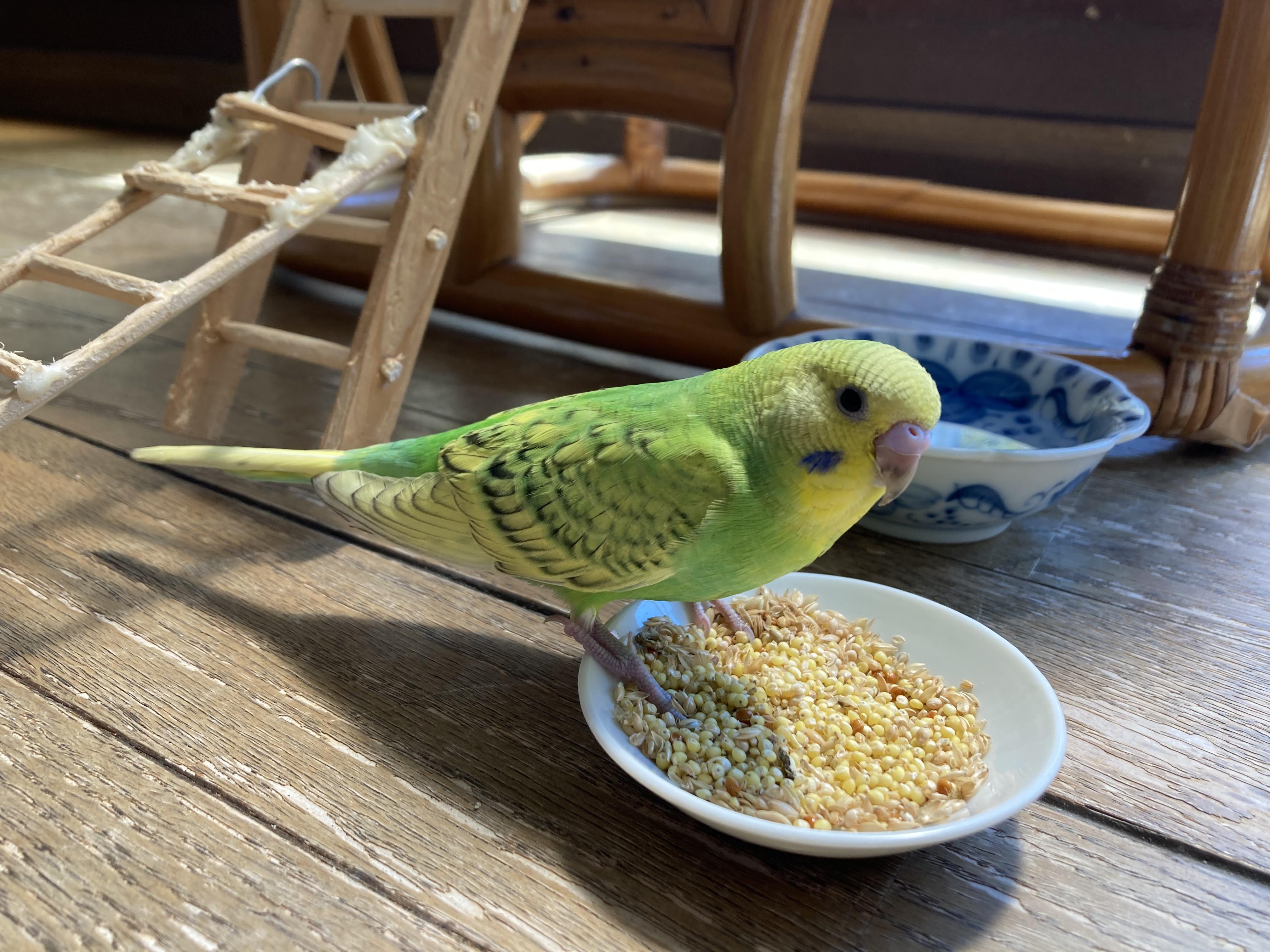 ユーザーの写真