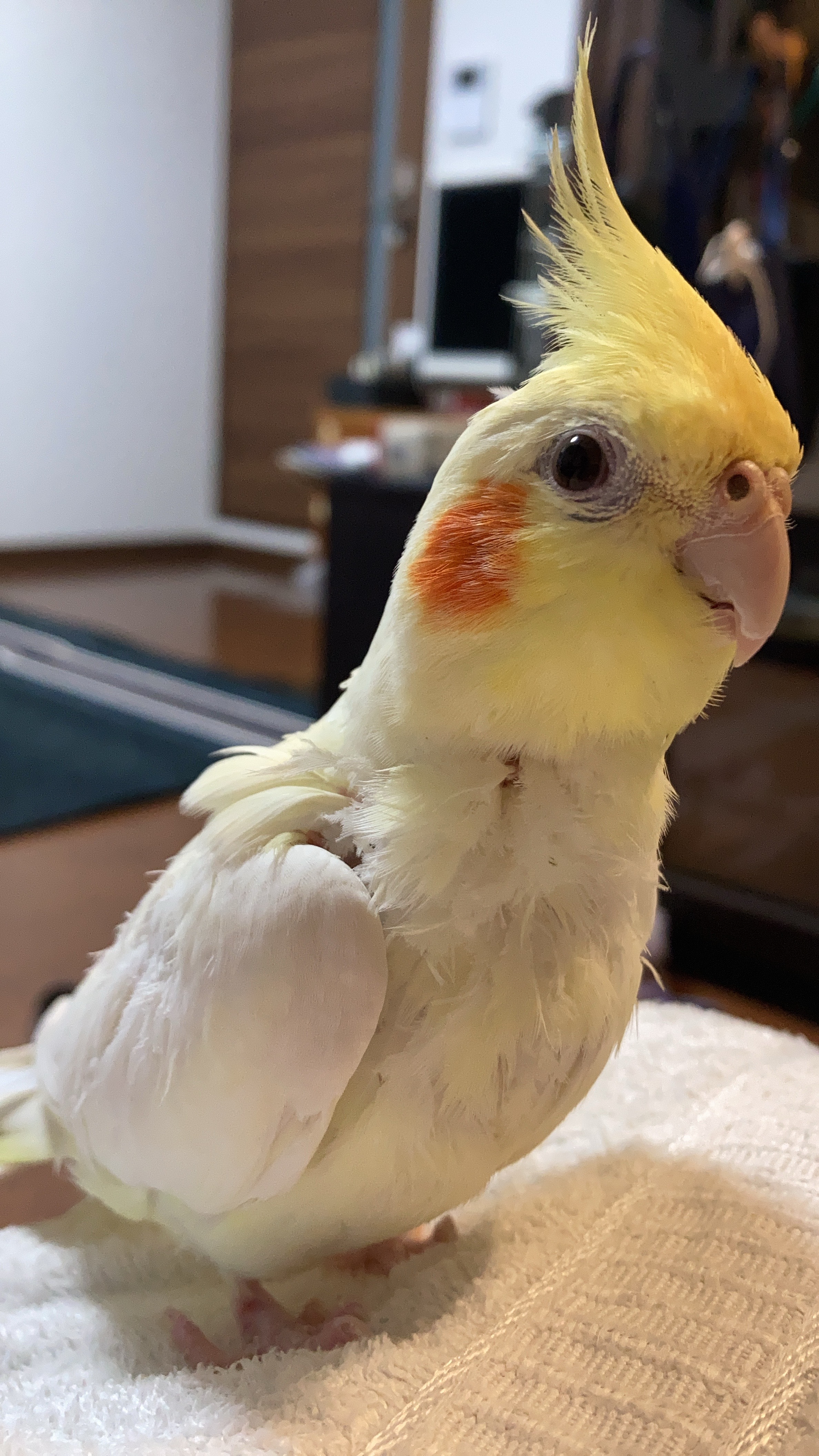 ユーザーの写真