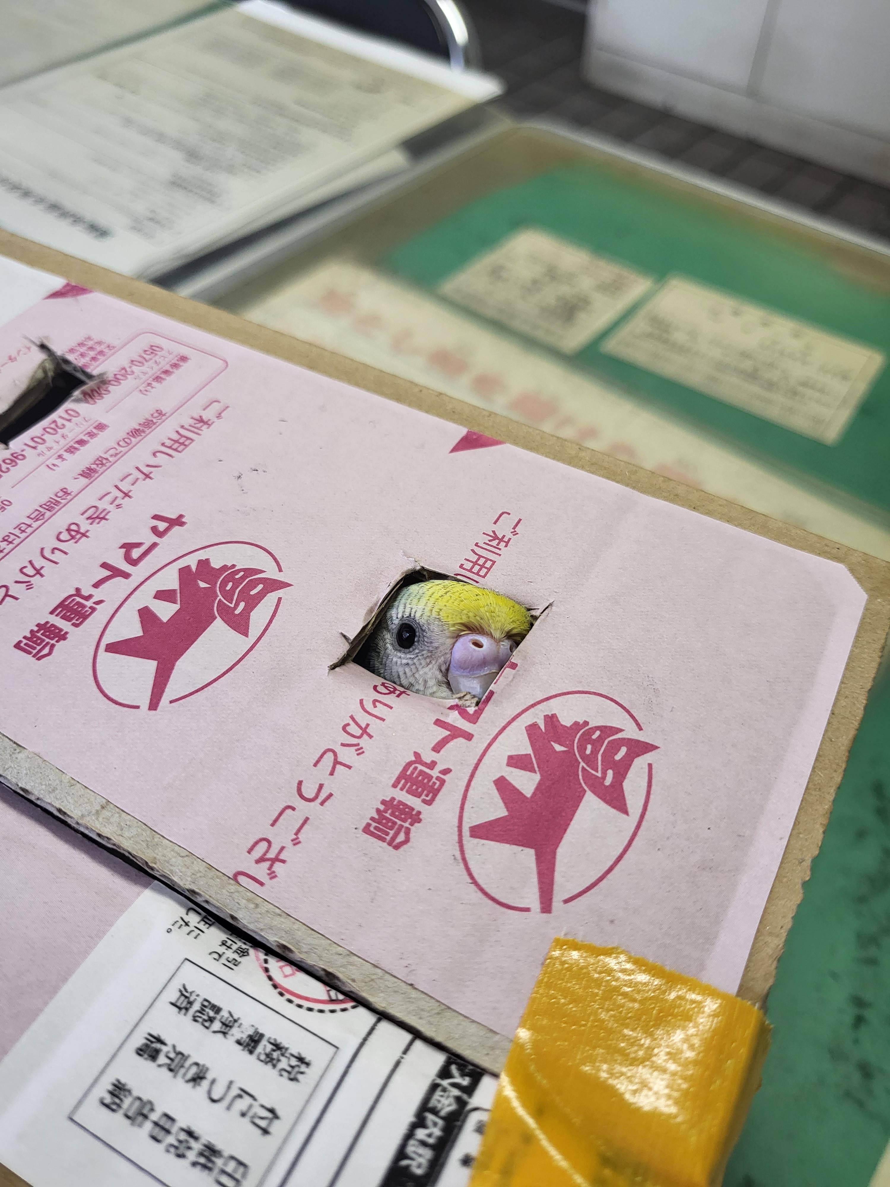 ユーザーの写真