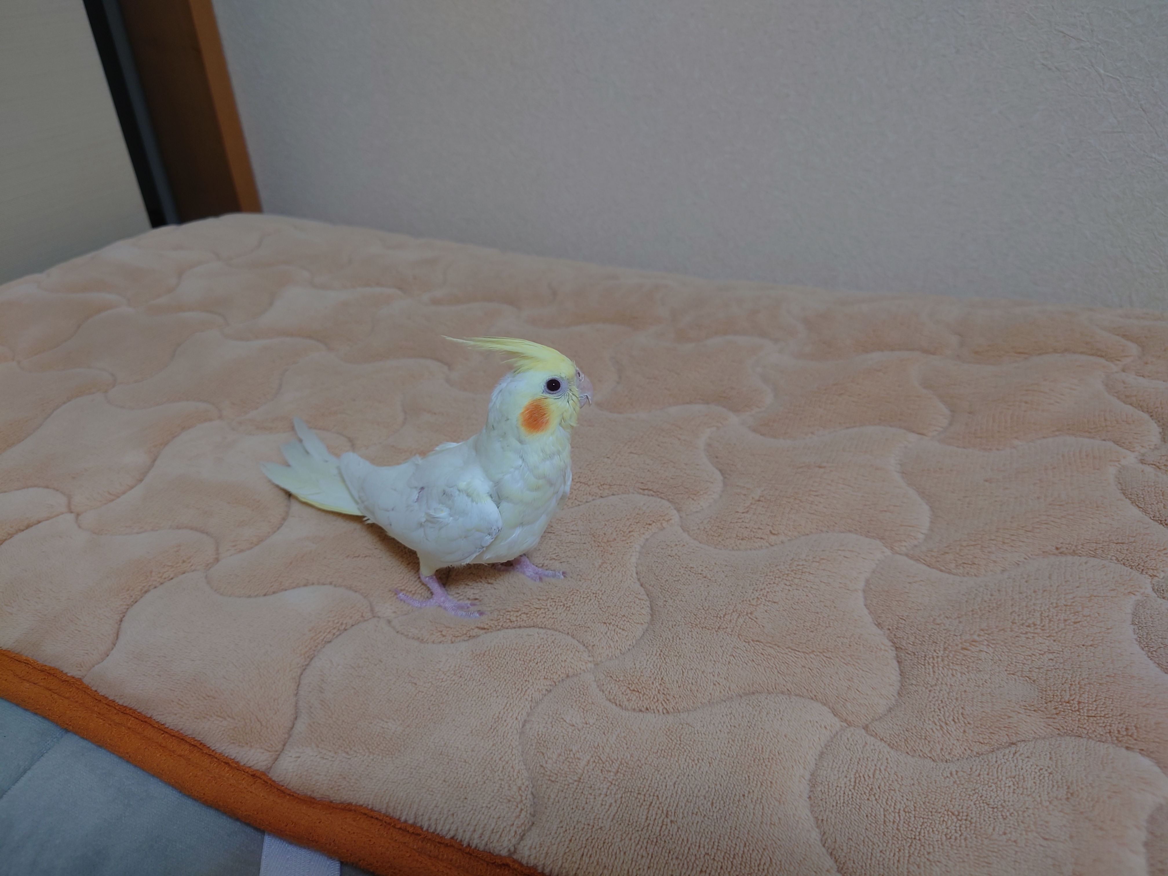 ユーザーの写真