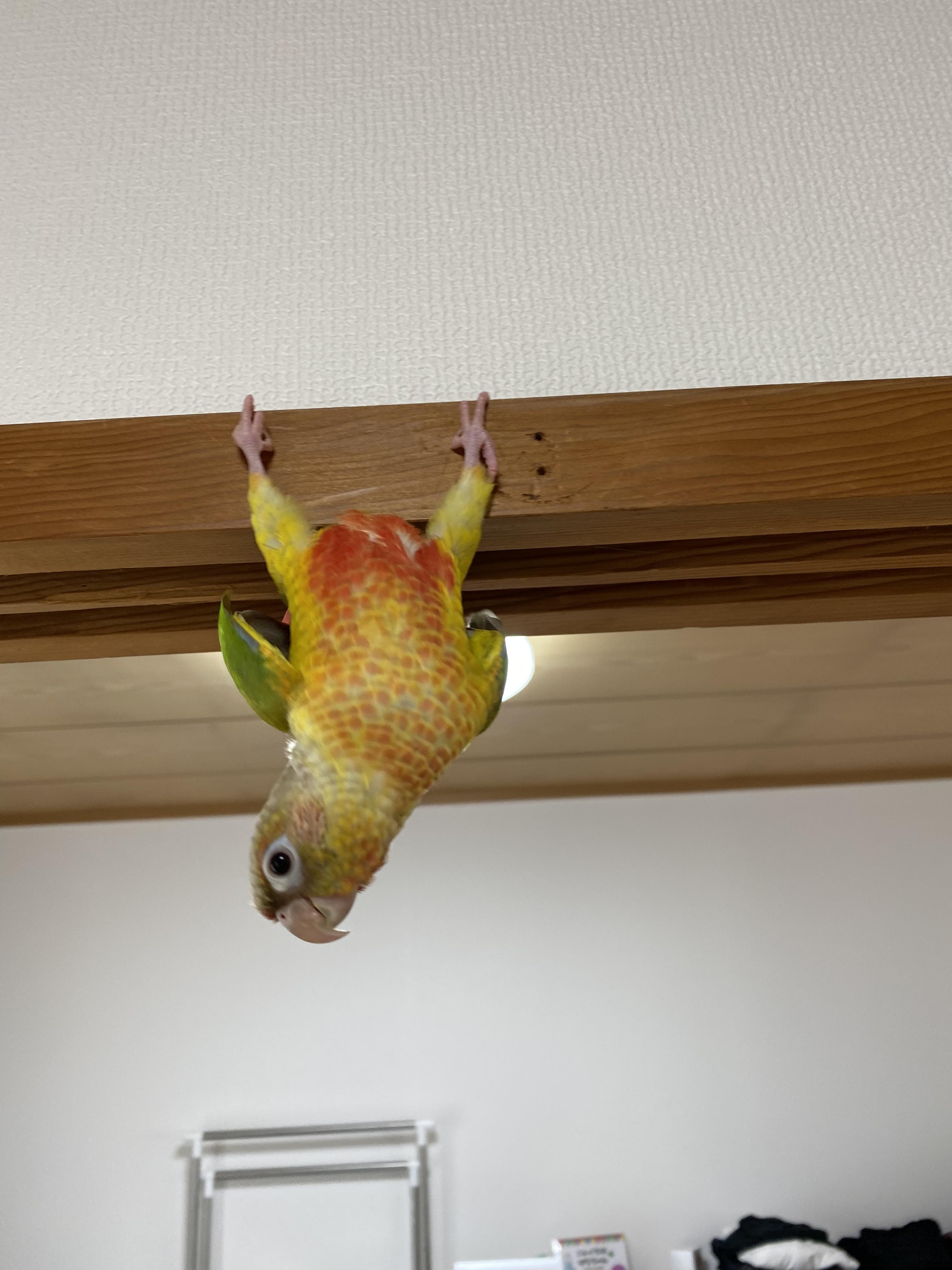 ユーザーの写真