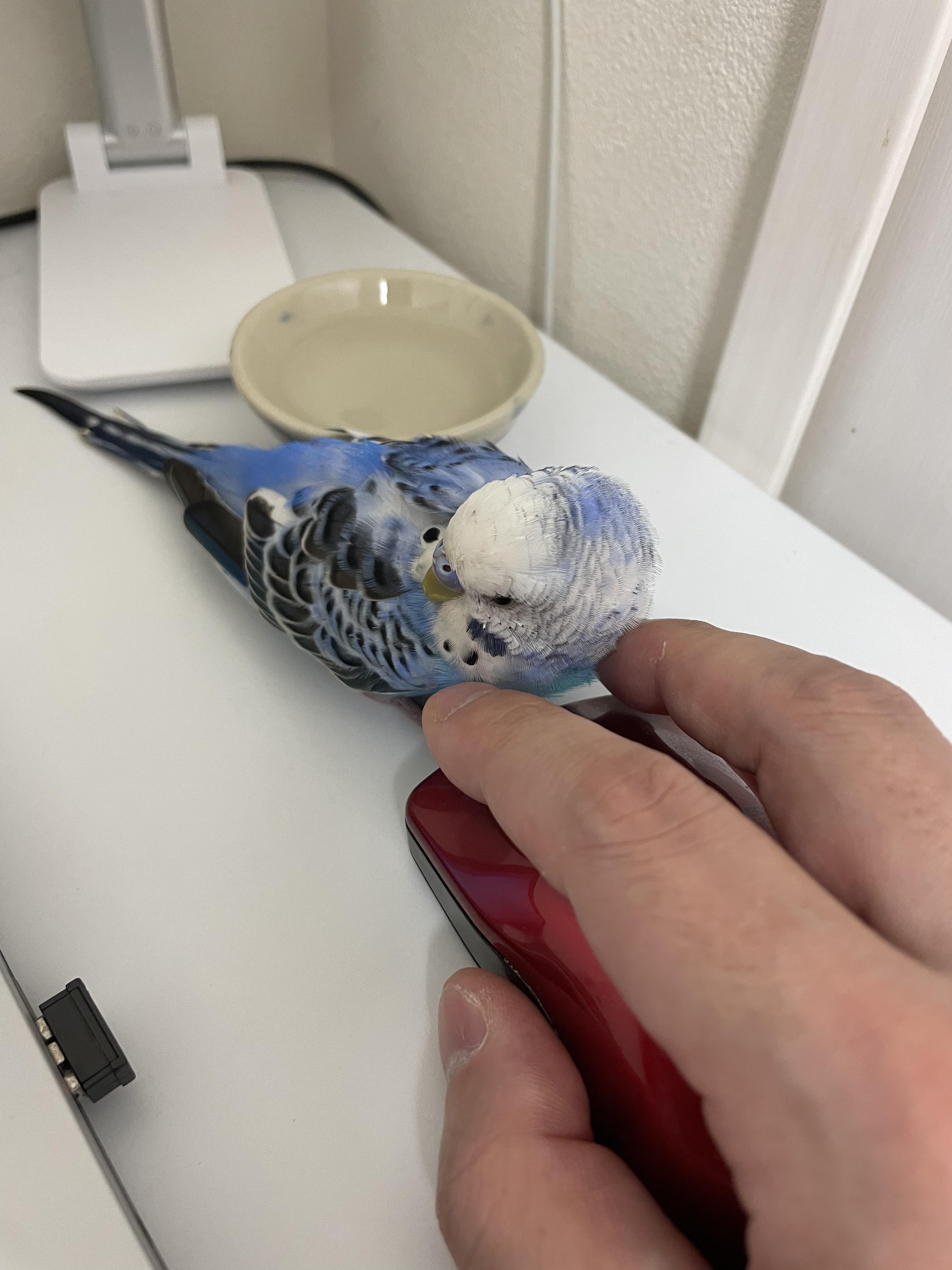 ユーザーの写真