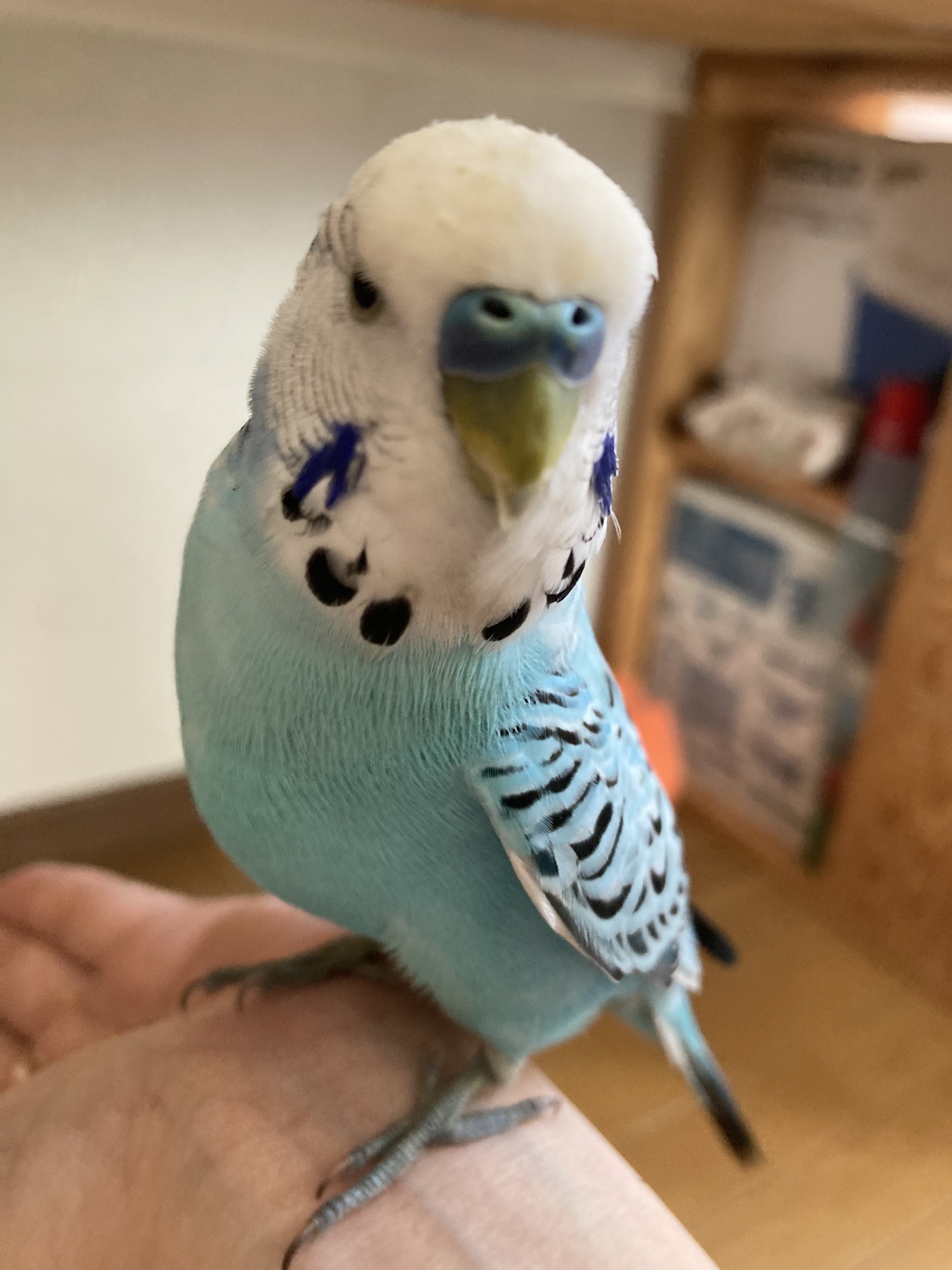 ユーザーの写真