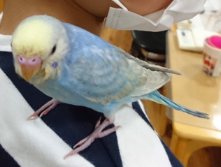 ユーザーの写真
