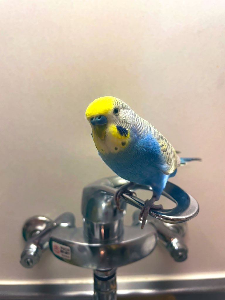 ユーザーの写真