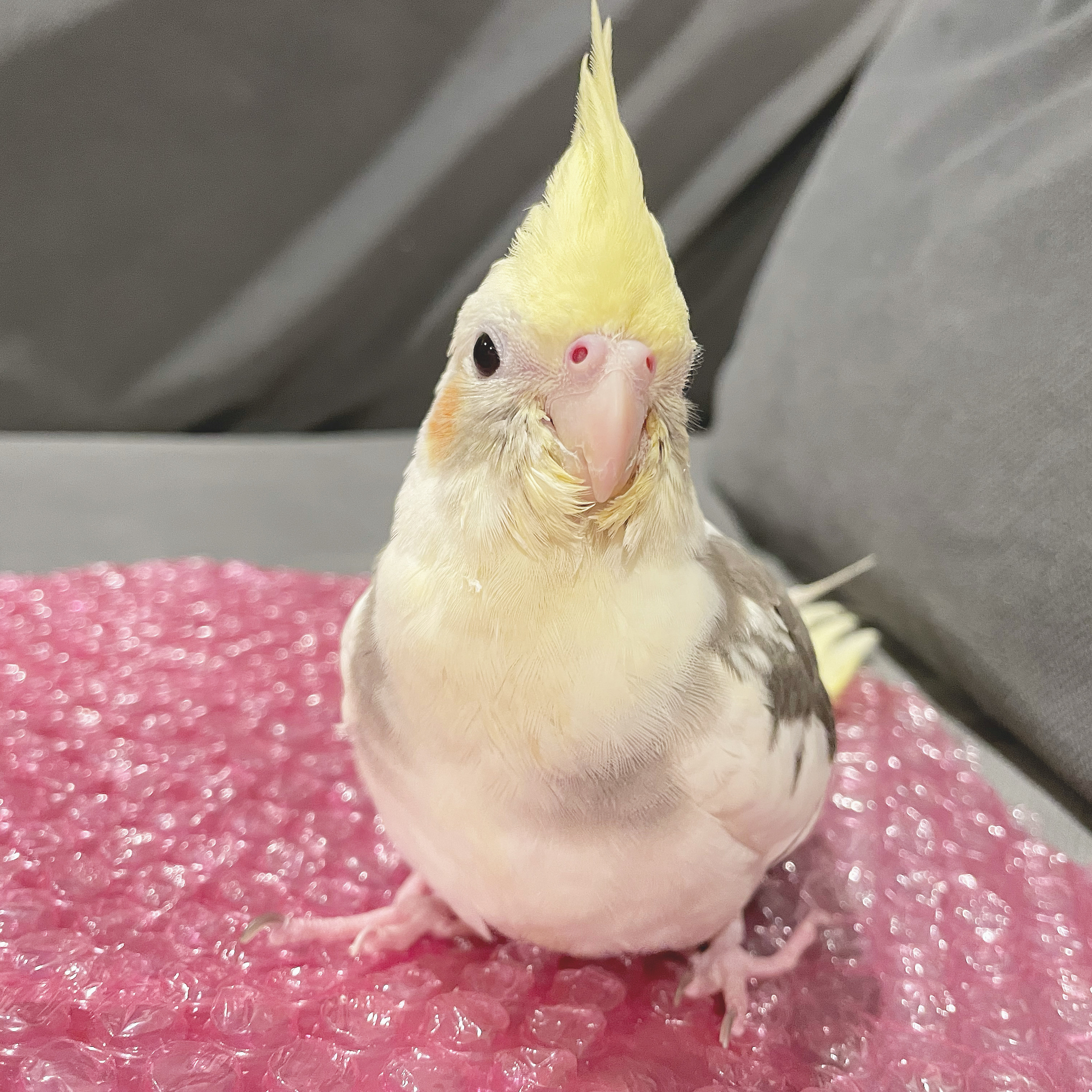 ユーザーの写真
