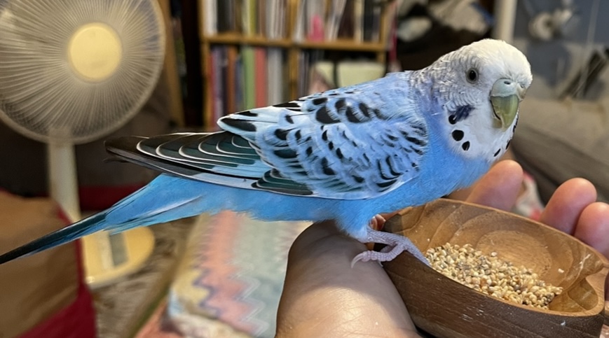 ユーザーの写真