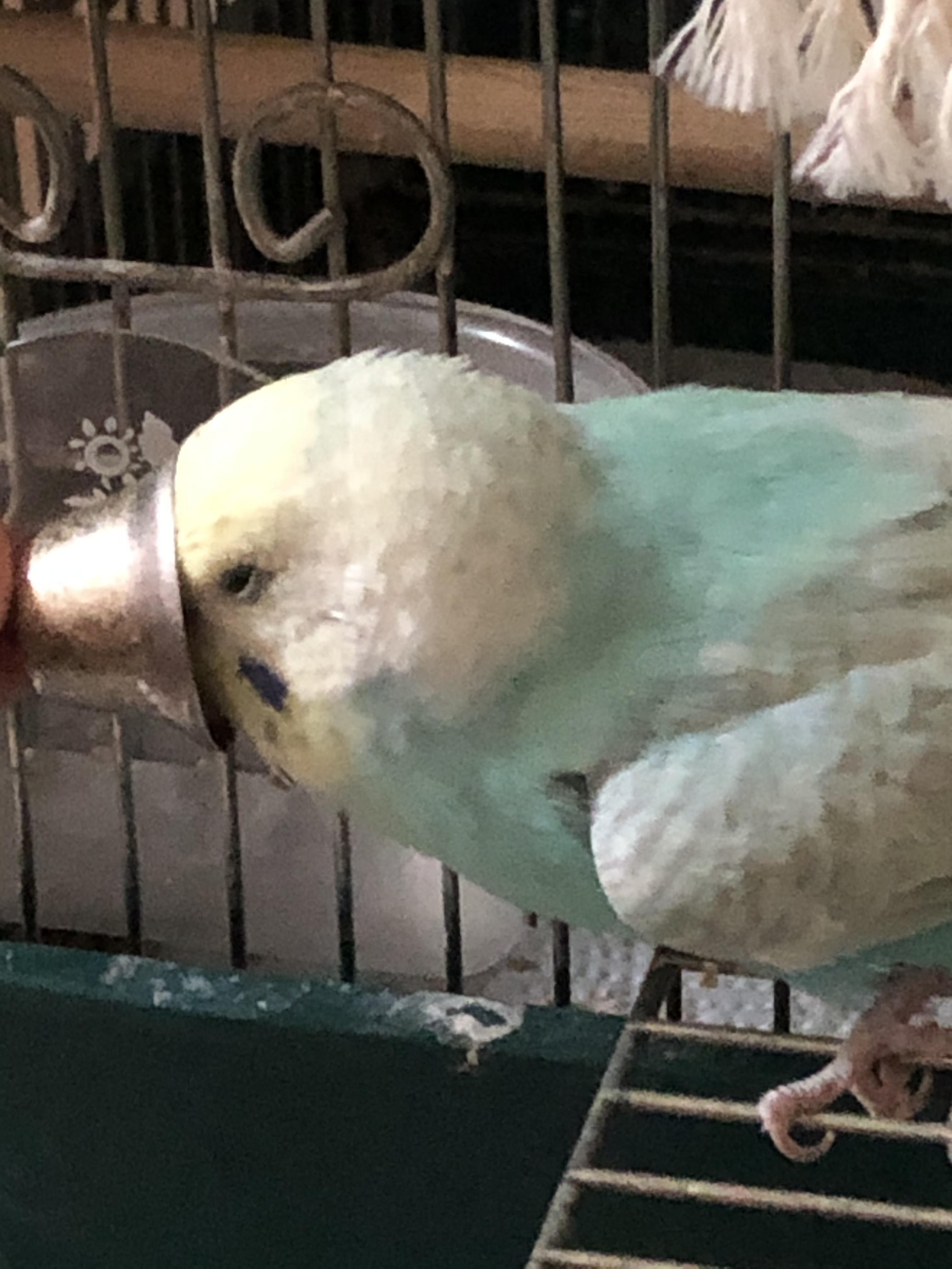 ユーザーの写真