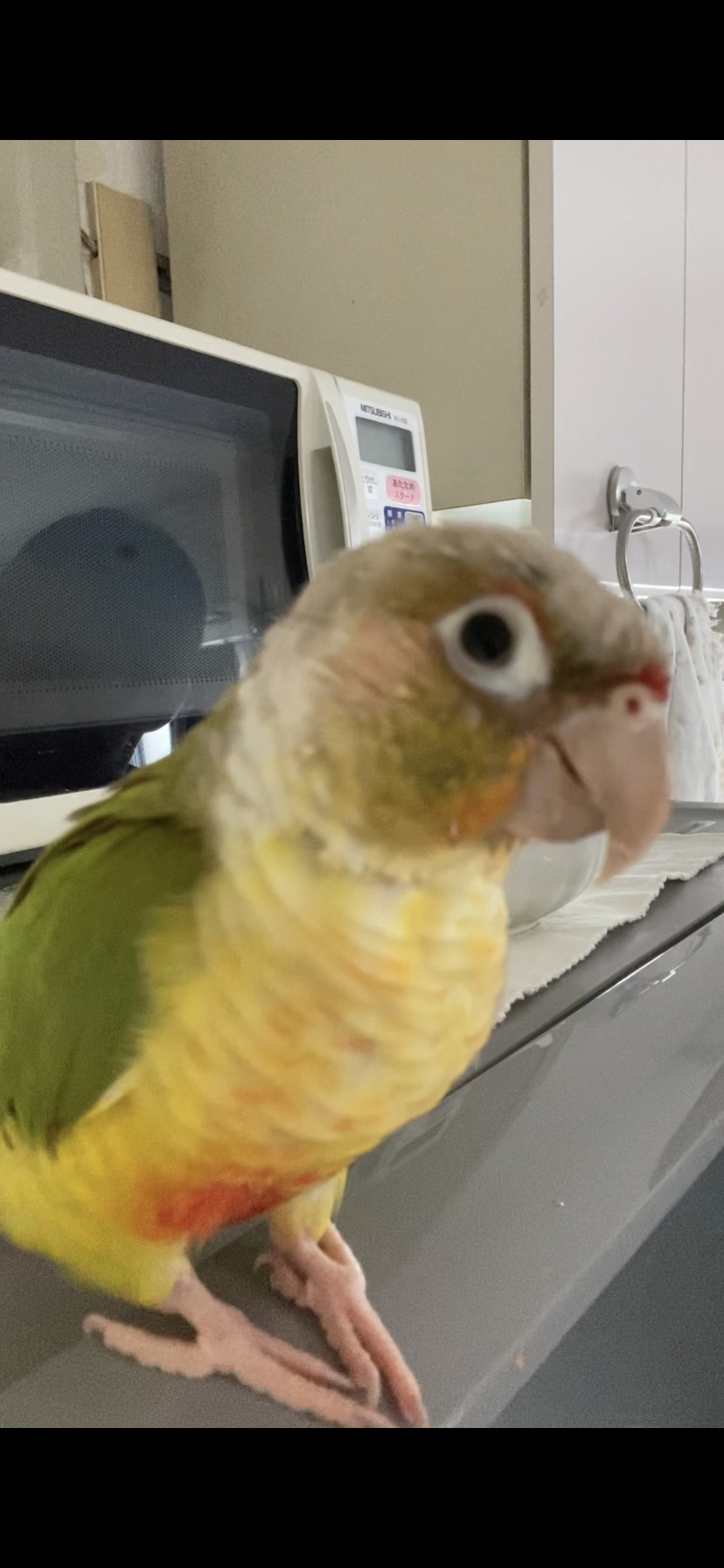 ユーザーの写真