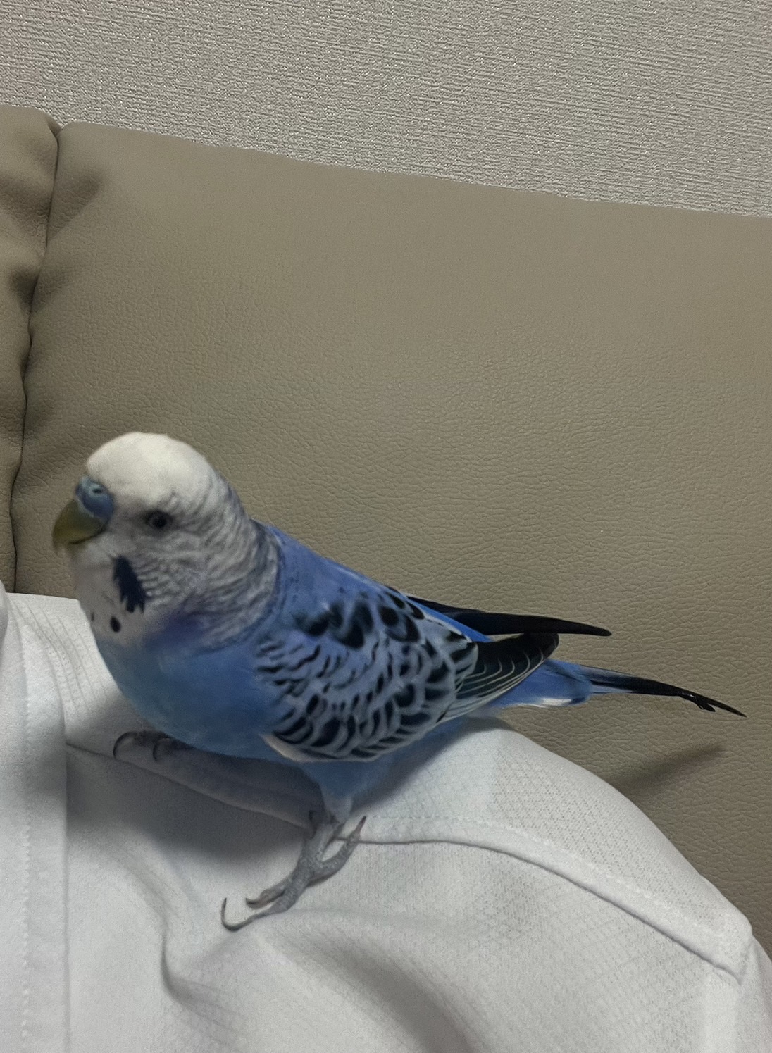ユーザーの写真
