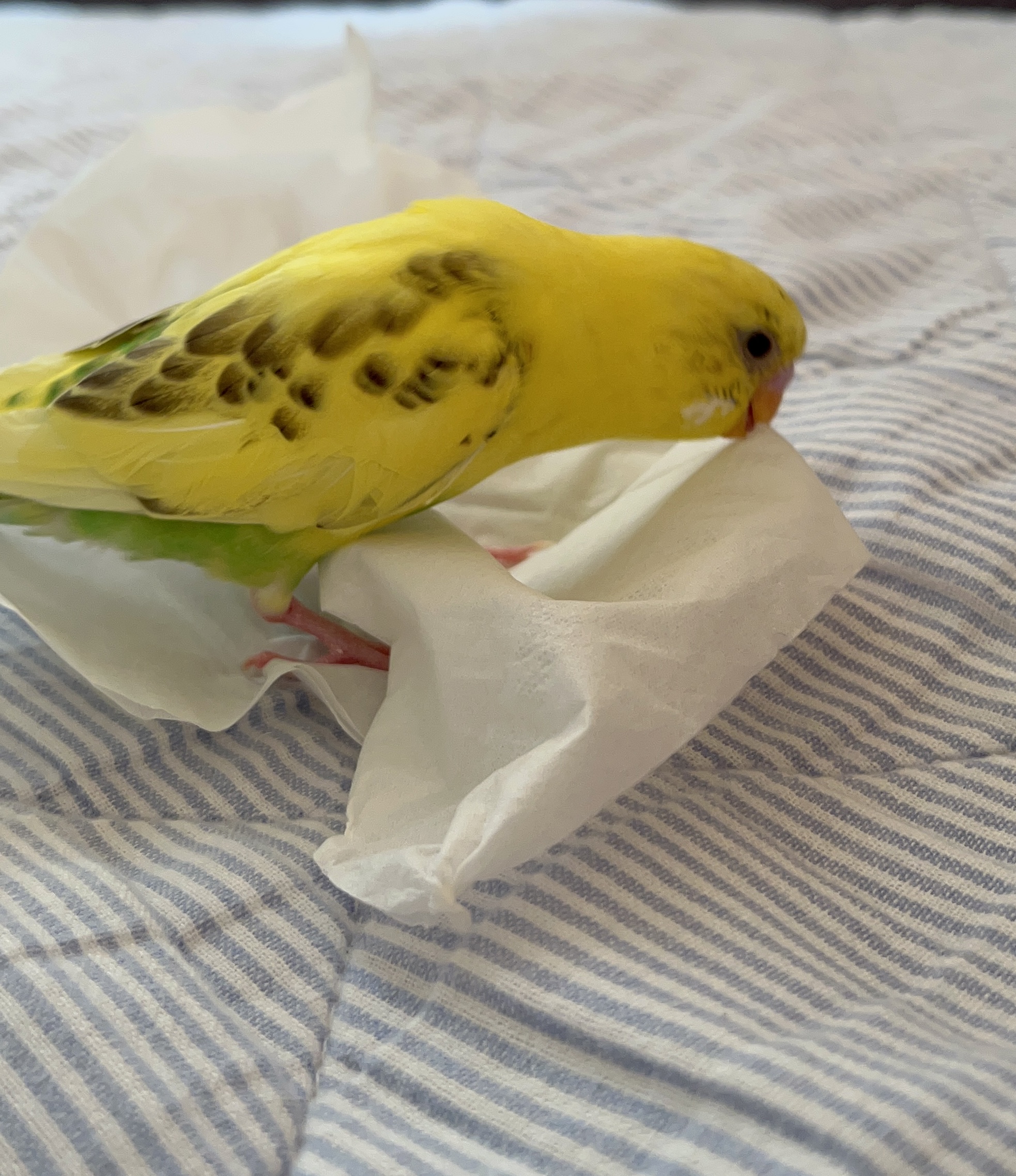 ユーザーの写真