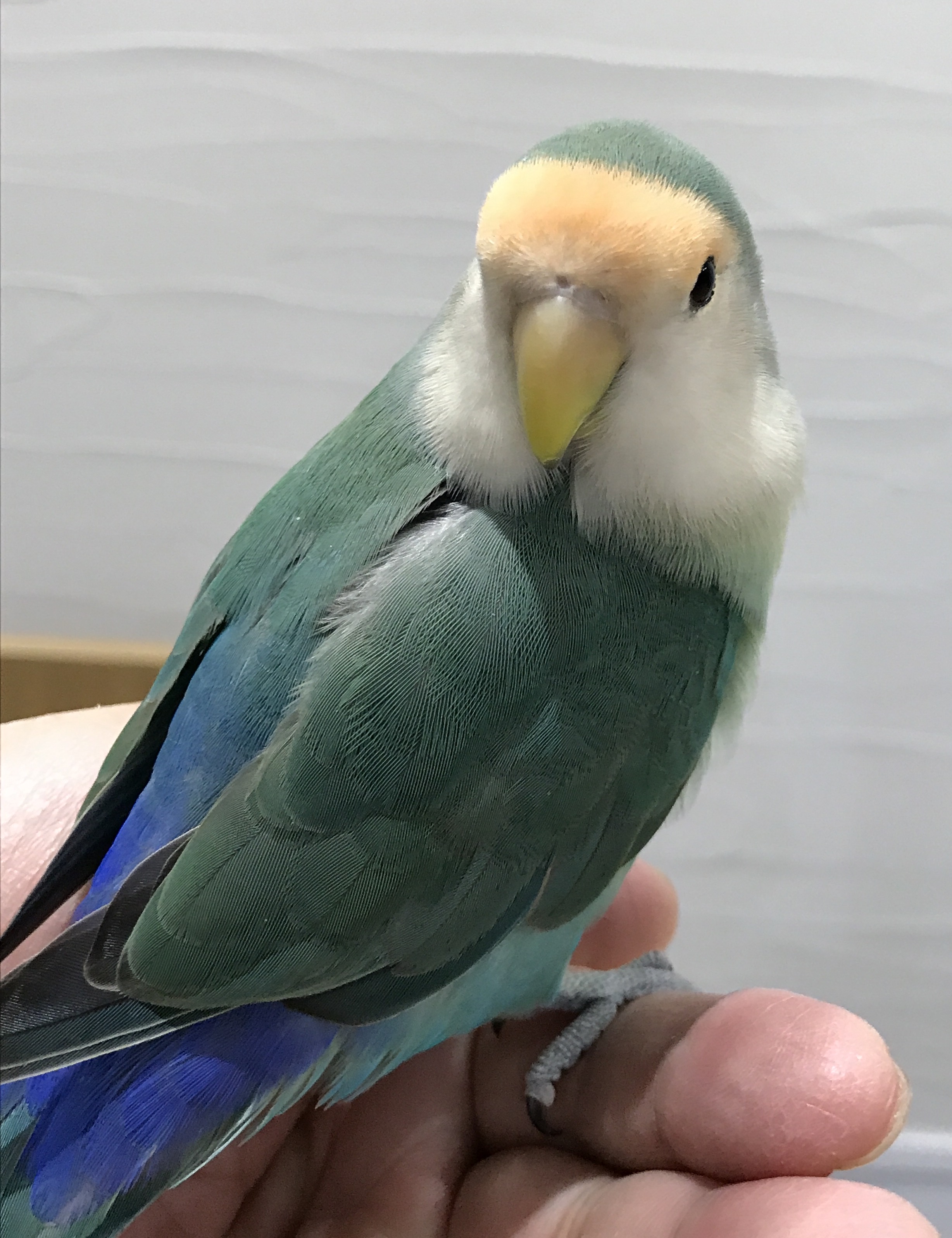 ユーザーの写真