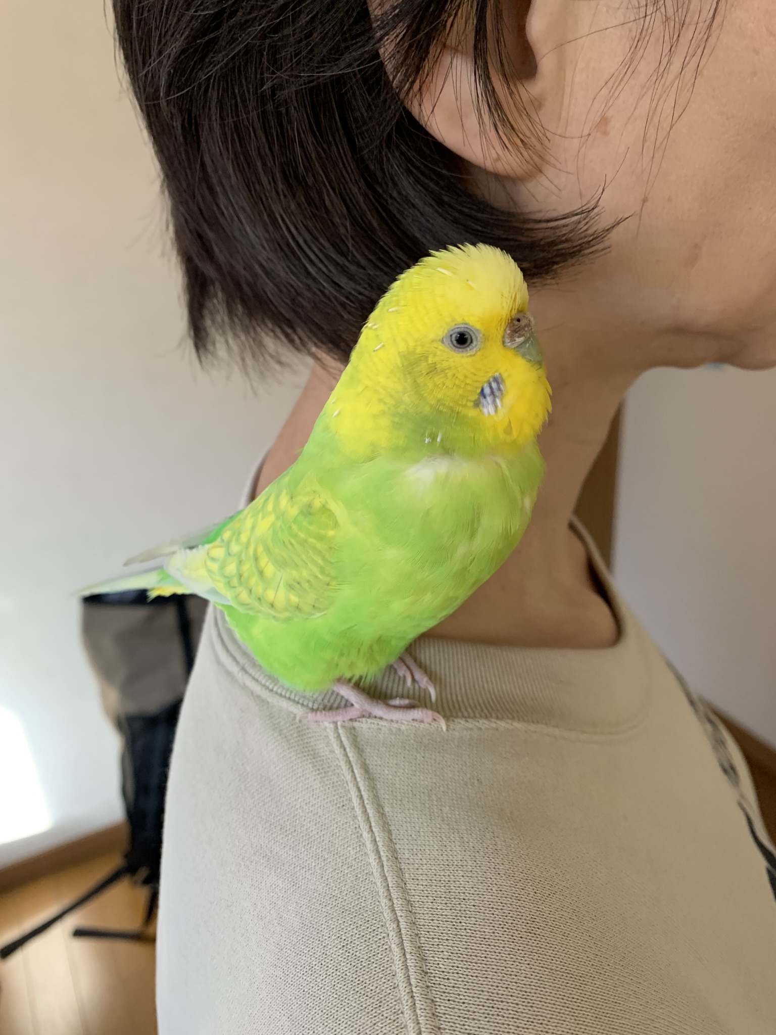ユーザーの写真