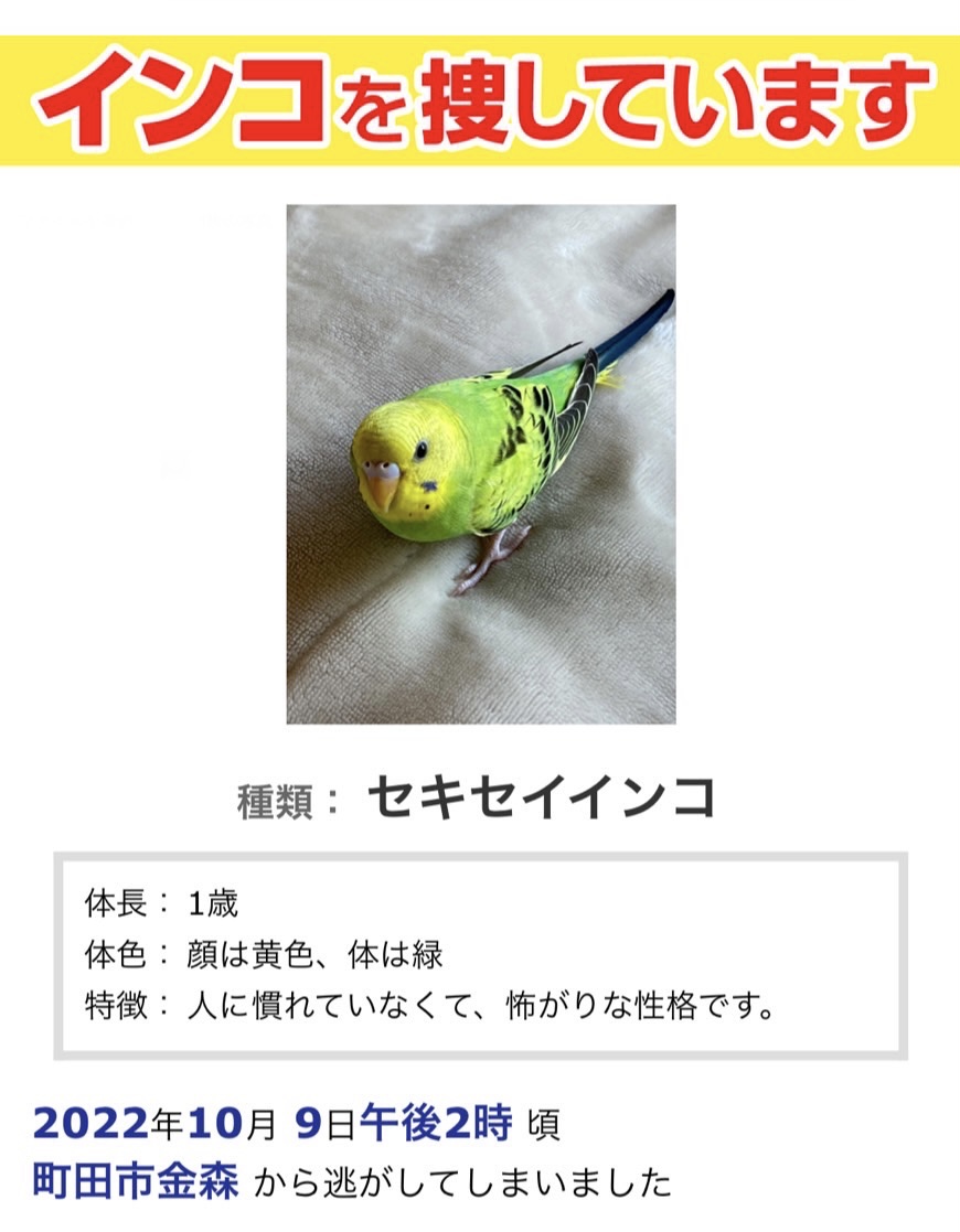 ユーザーの写真