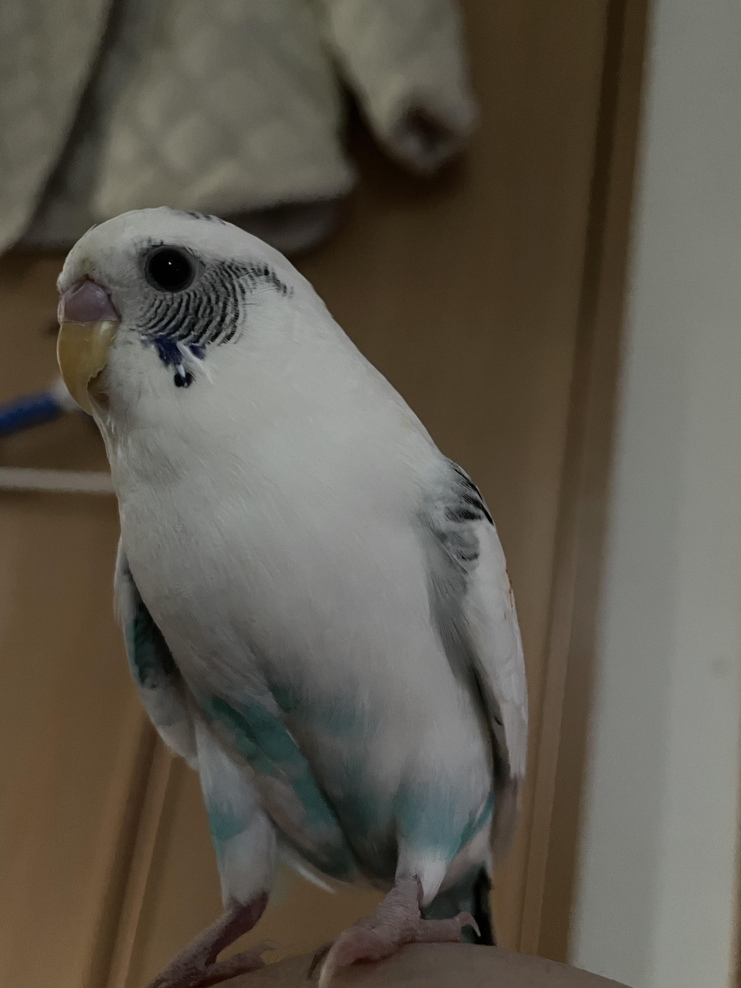 ユーザーの写真