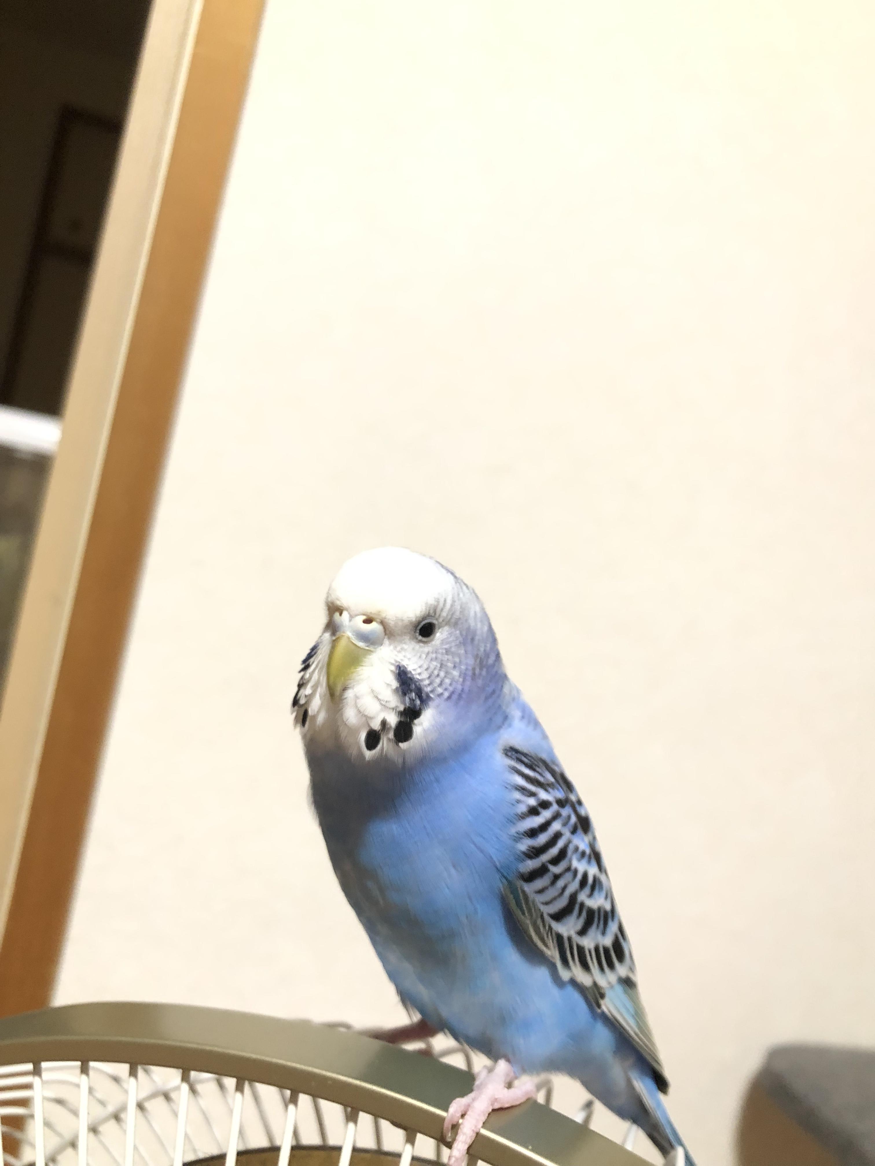 ユーザーの写真