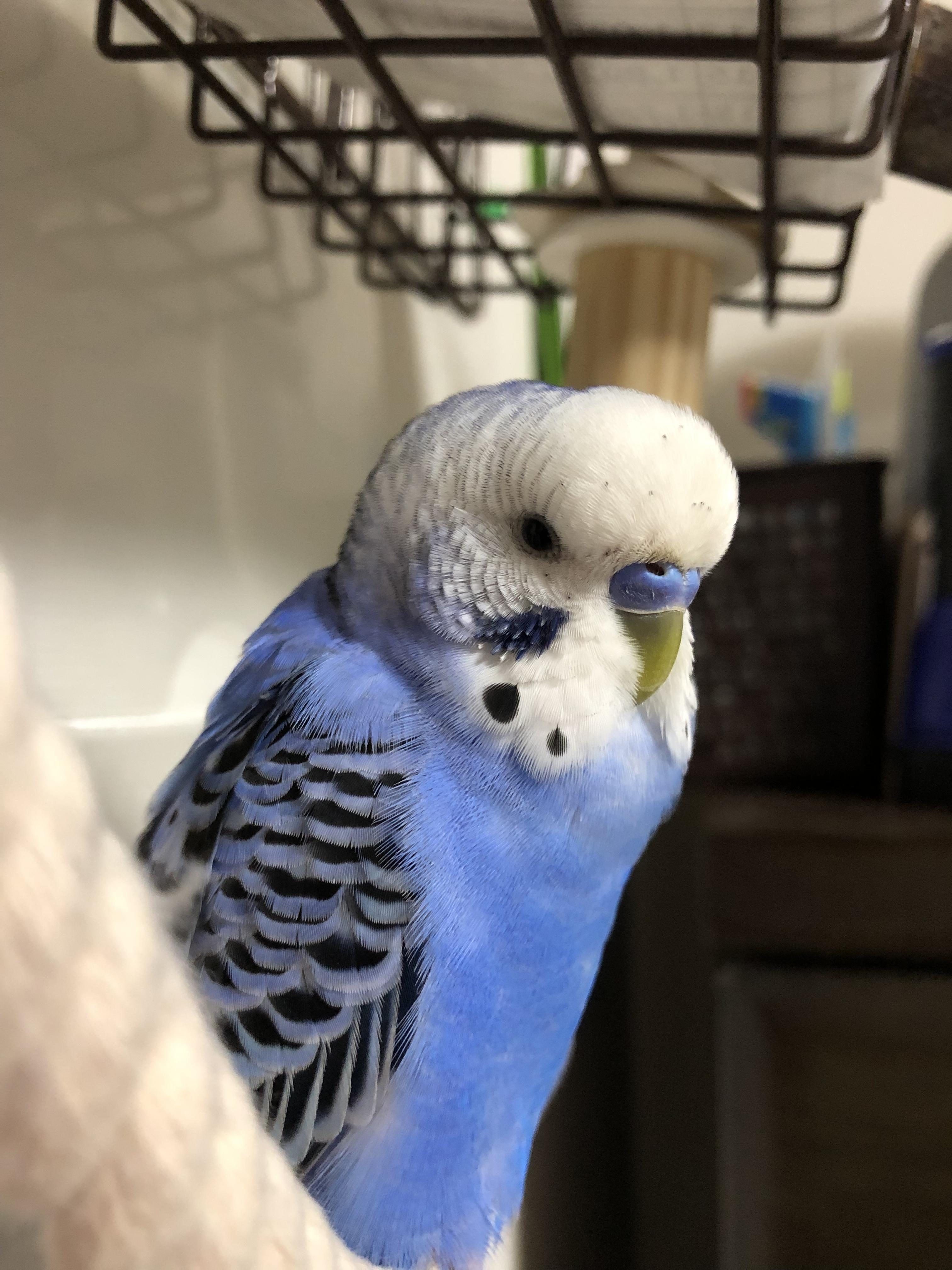 ユーザーの写真