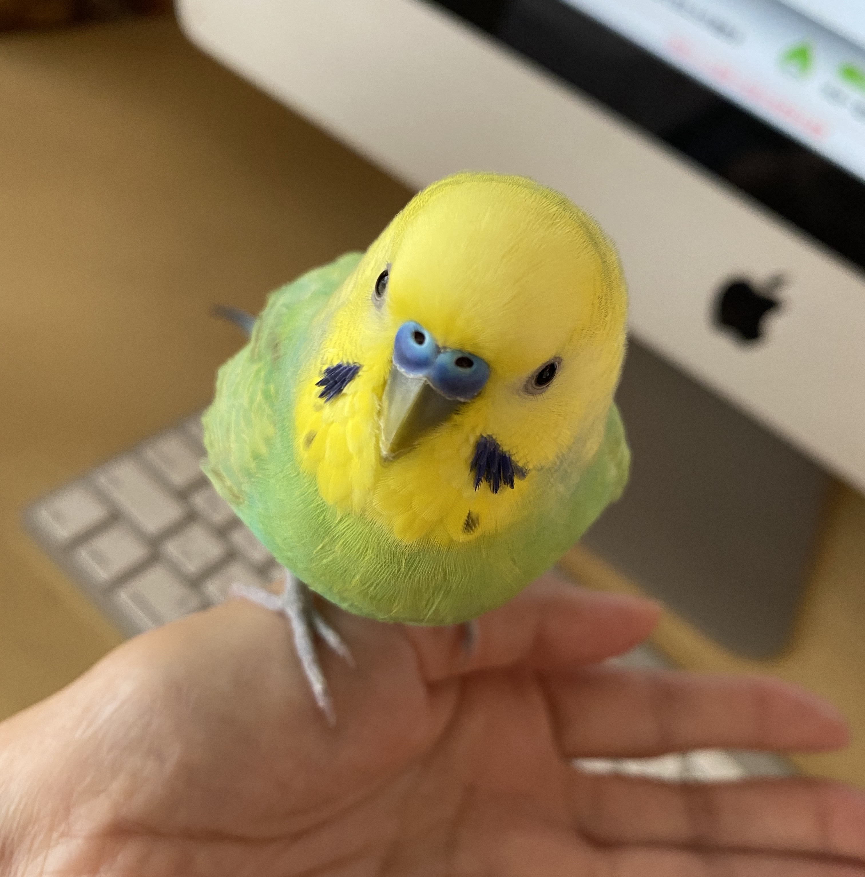 ユーザーの写真