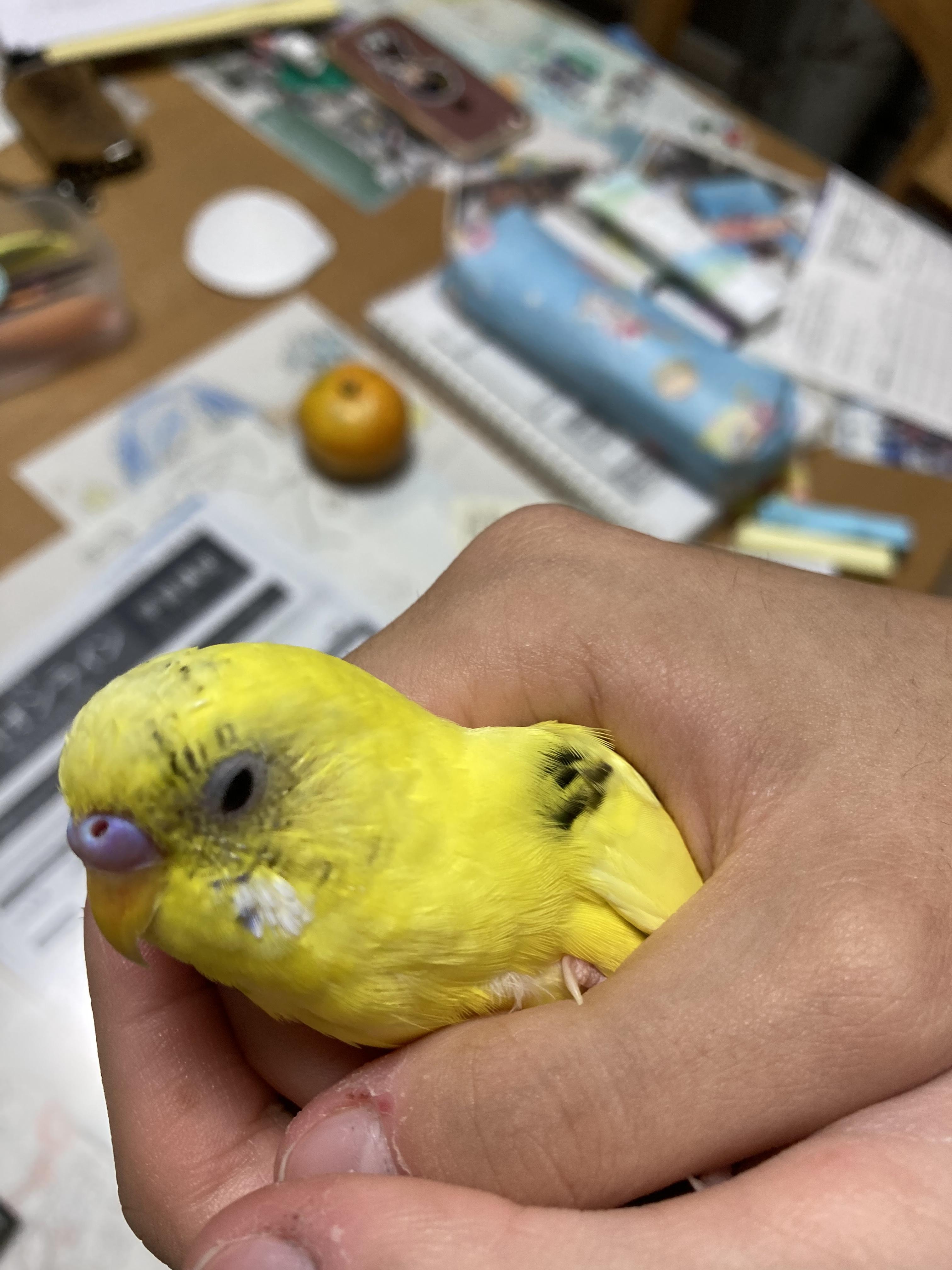 ユーザーの写真