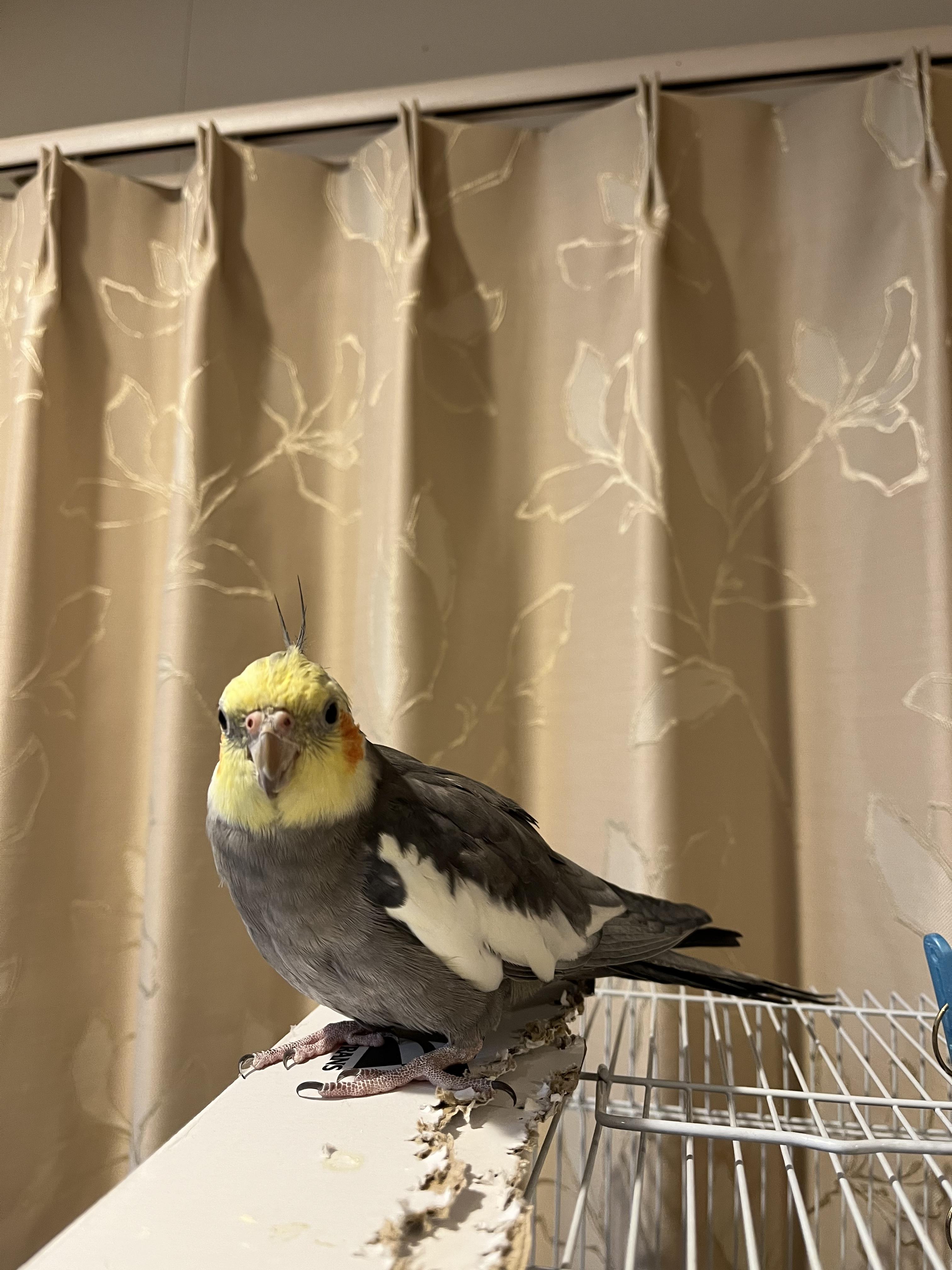 ユーザーの写真