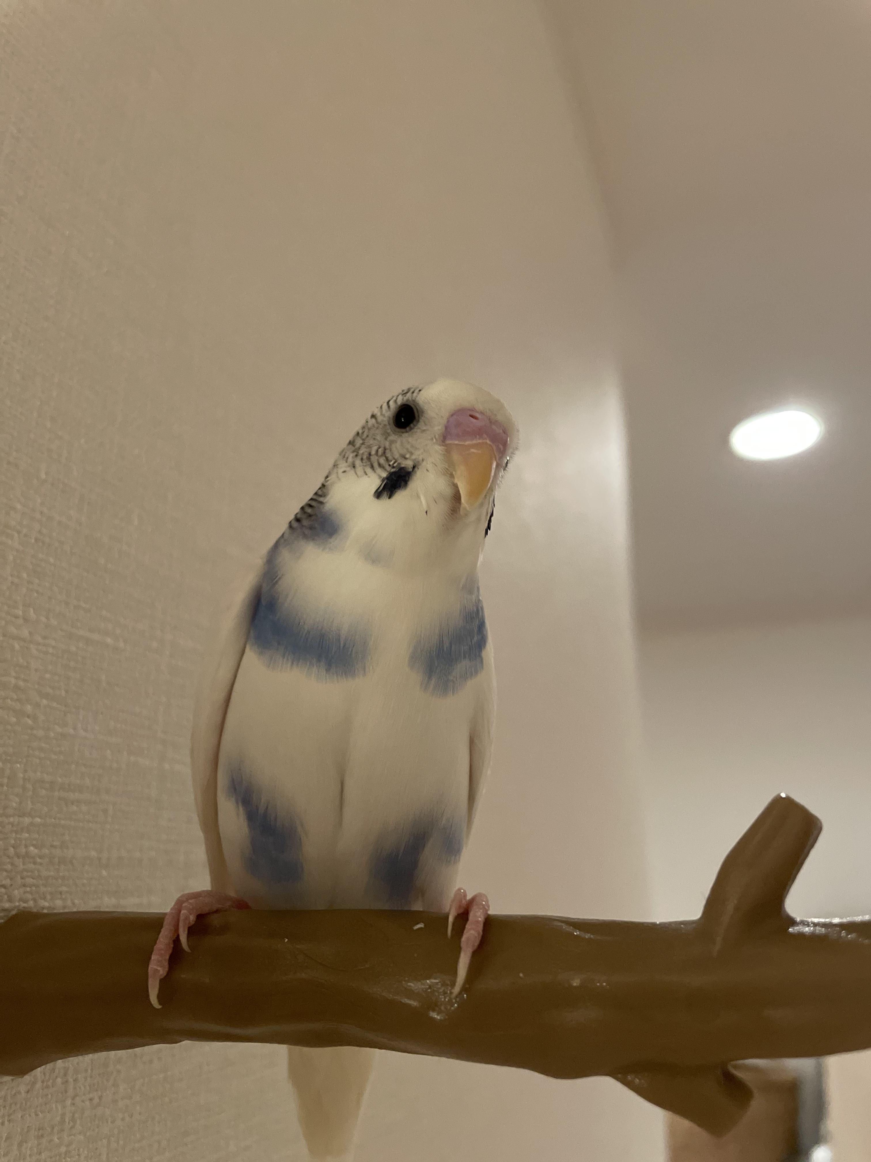 ユーザーの写真