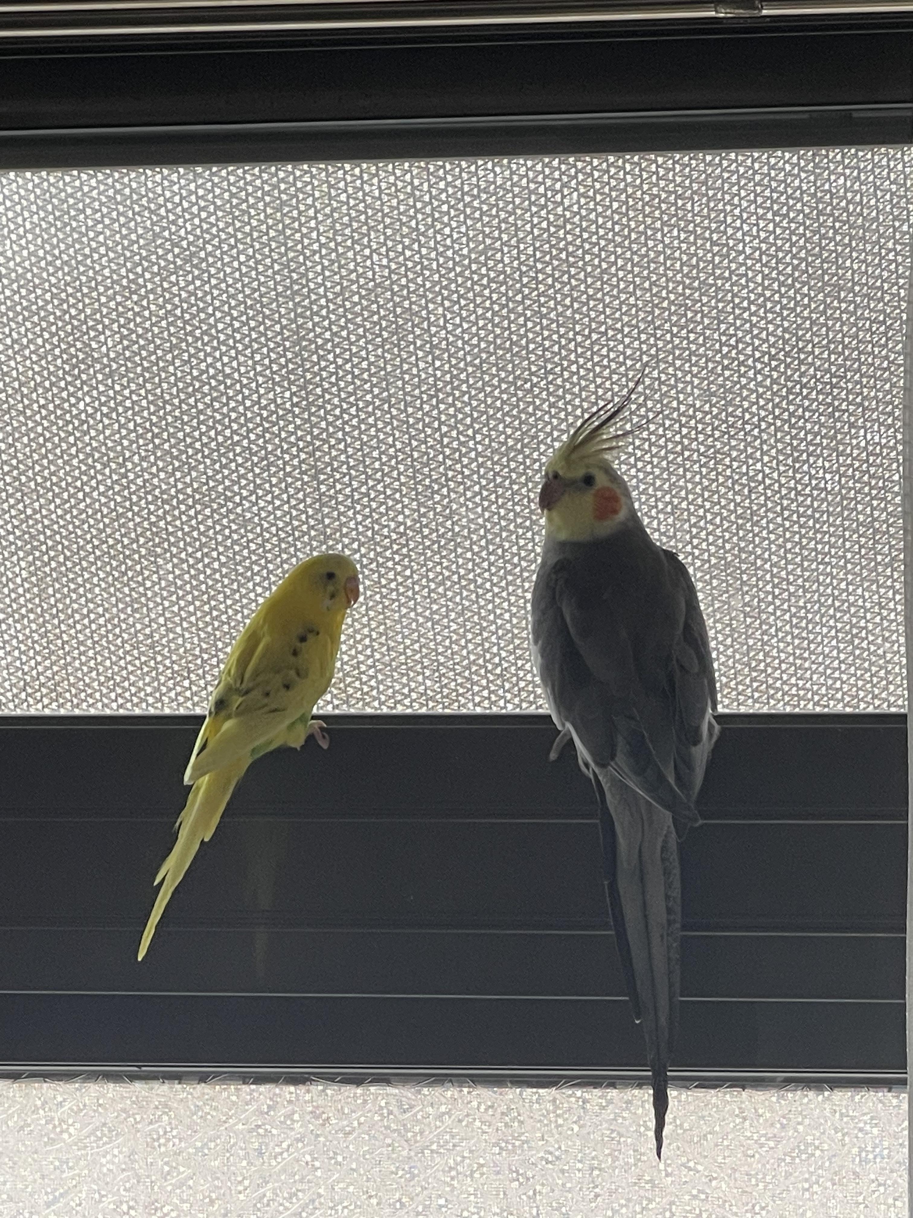 ユーザーの写真
