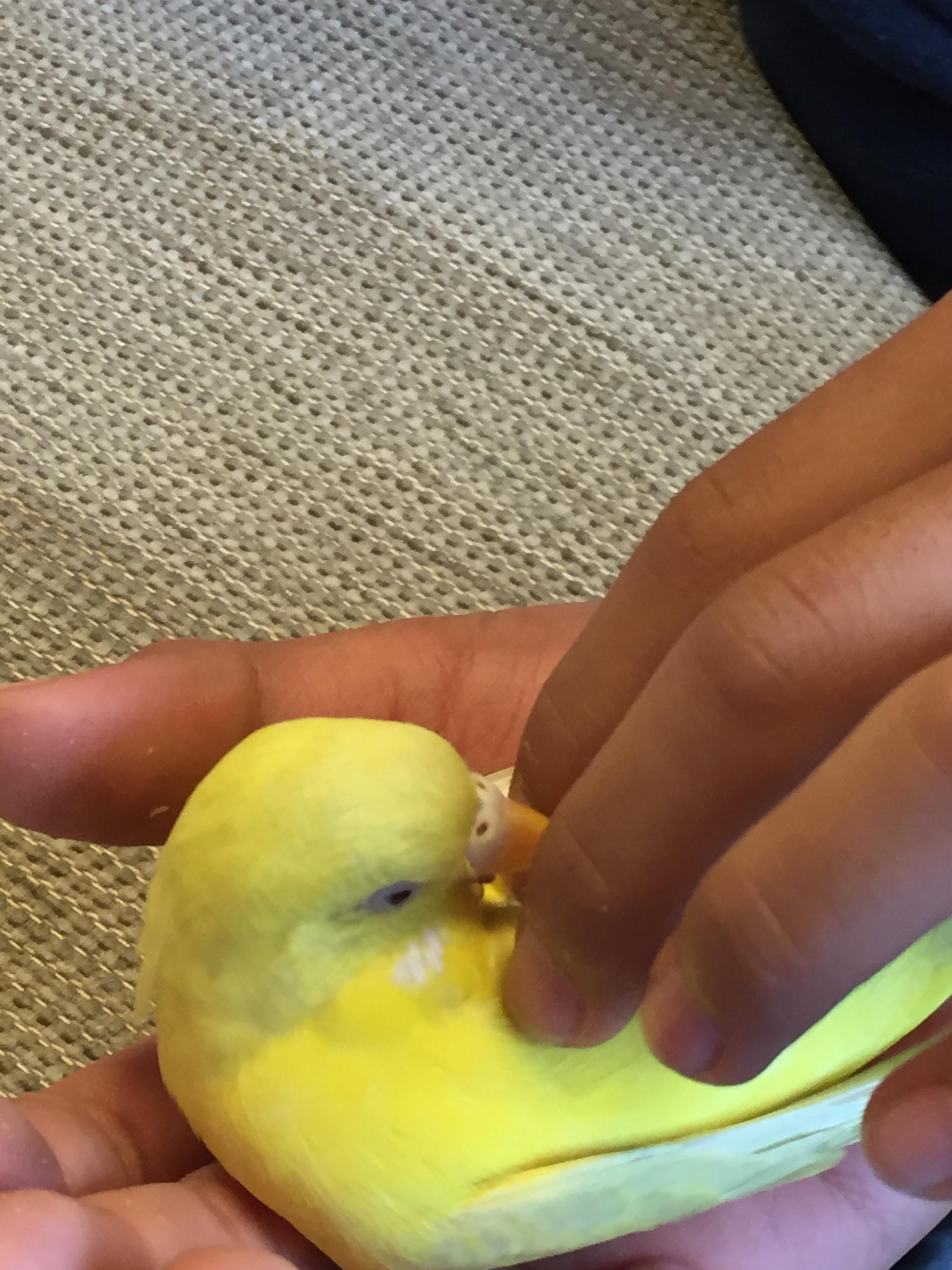 ユーザーの写真