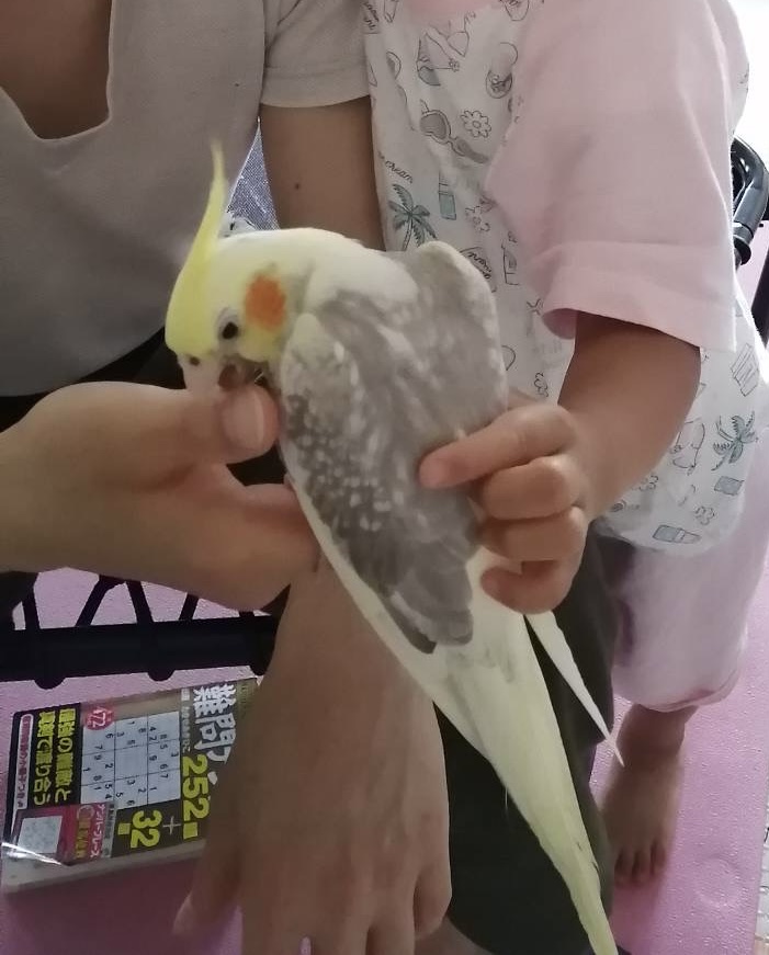 ユーザーの写真