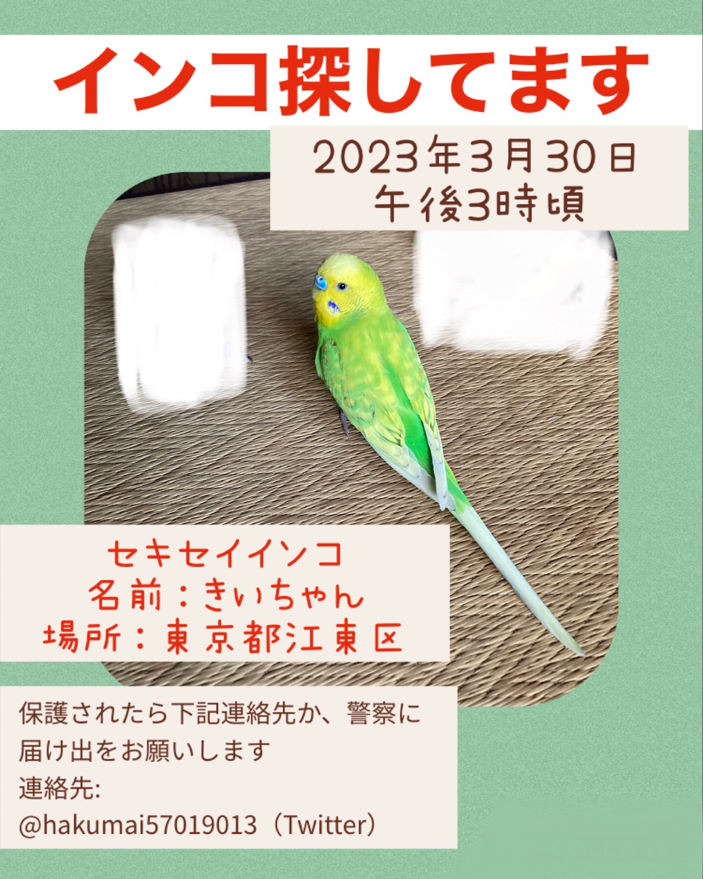 ユーザーの写真