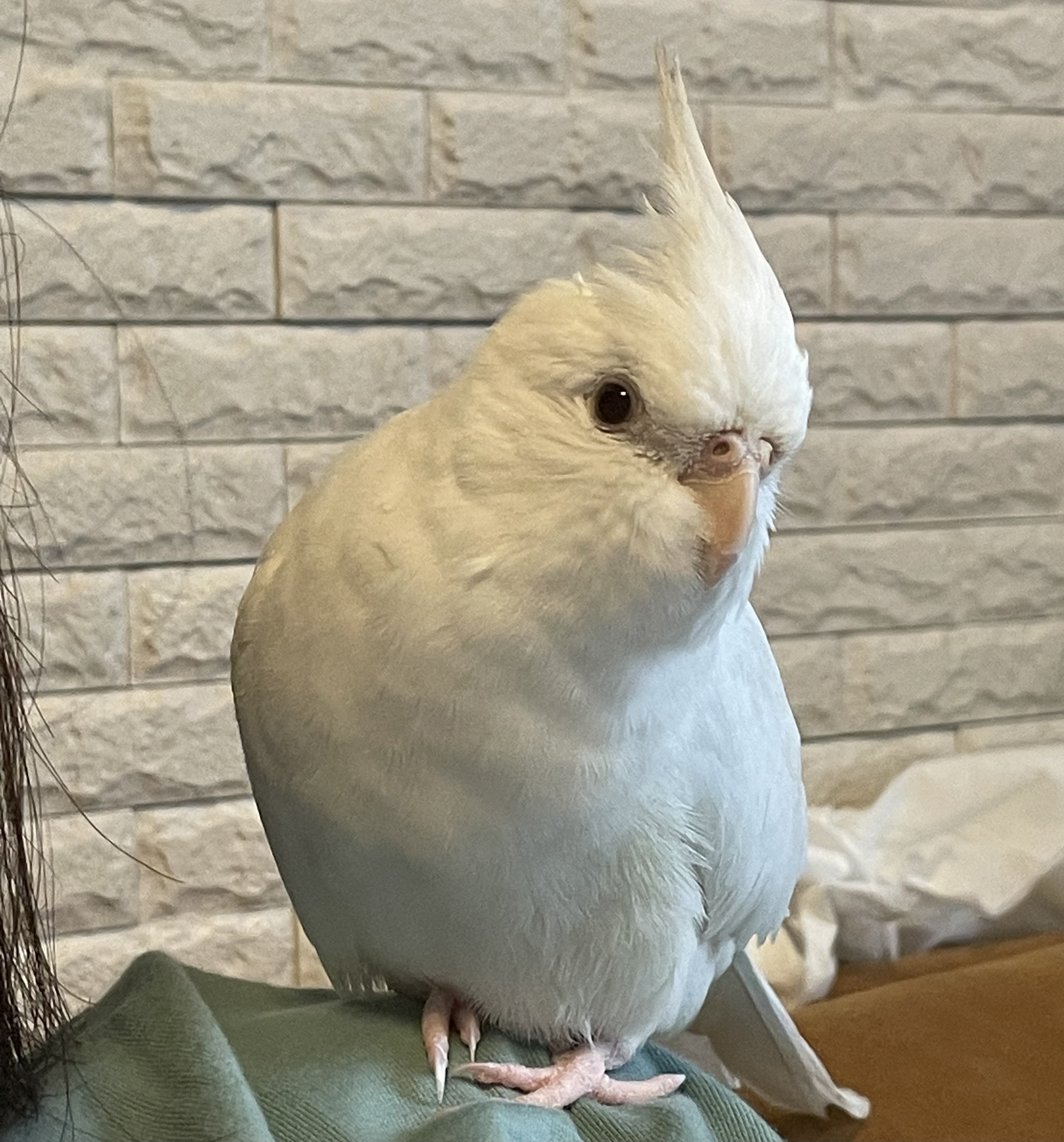 ユーザーの写真