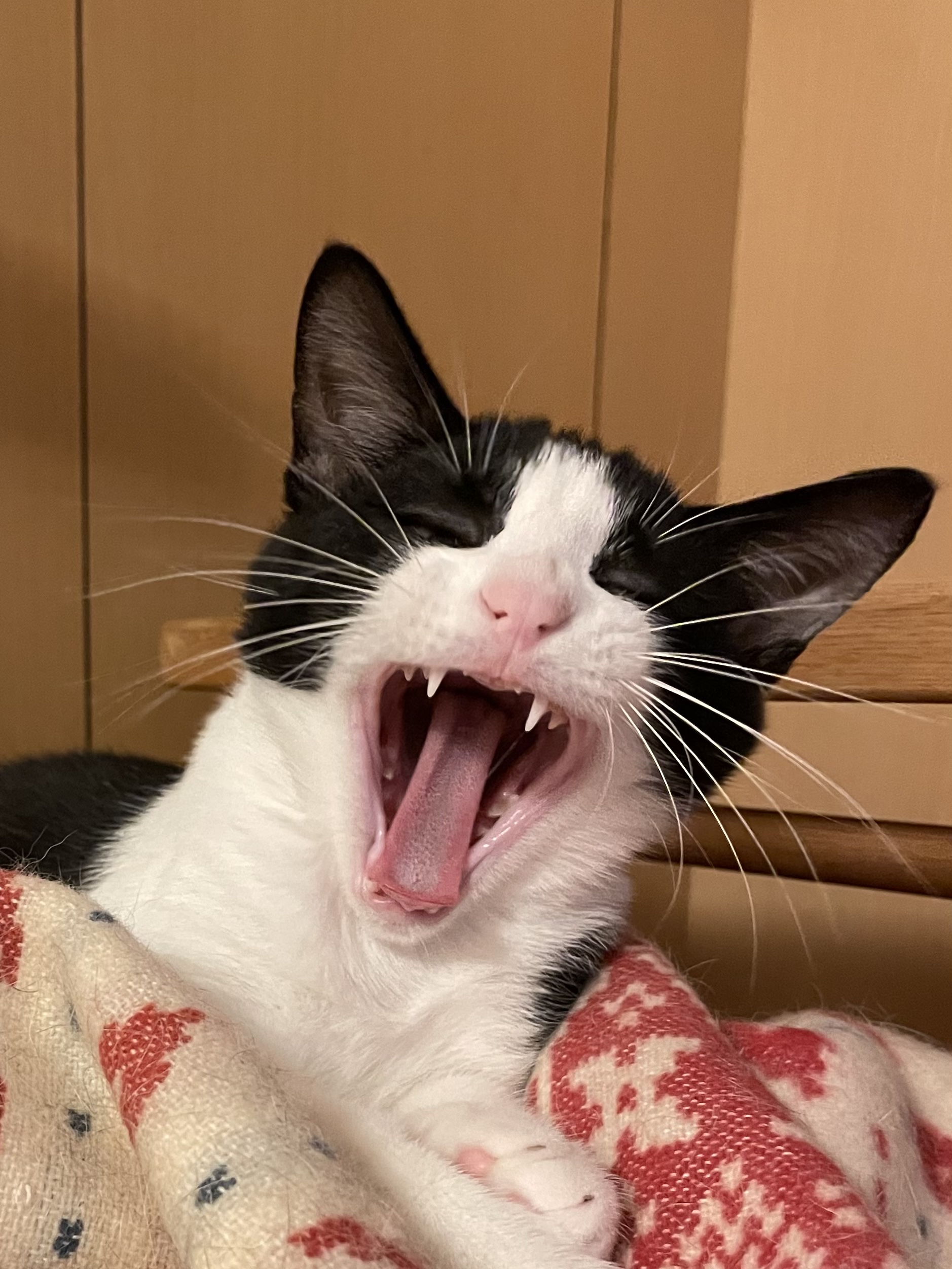 ユーザーの写真