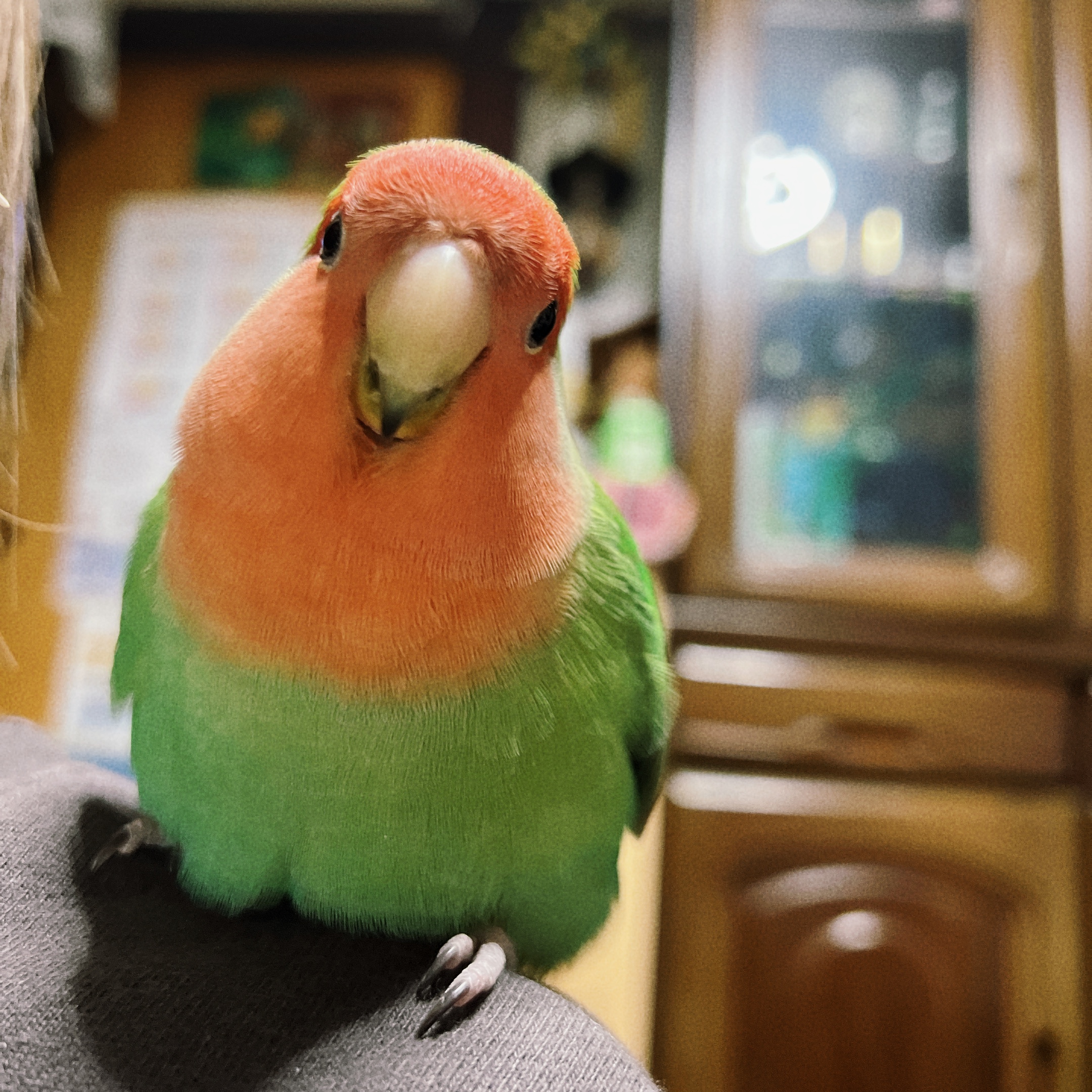 ユーザーの写真