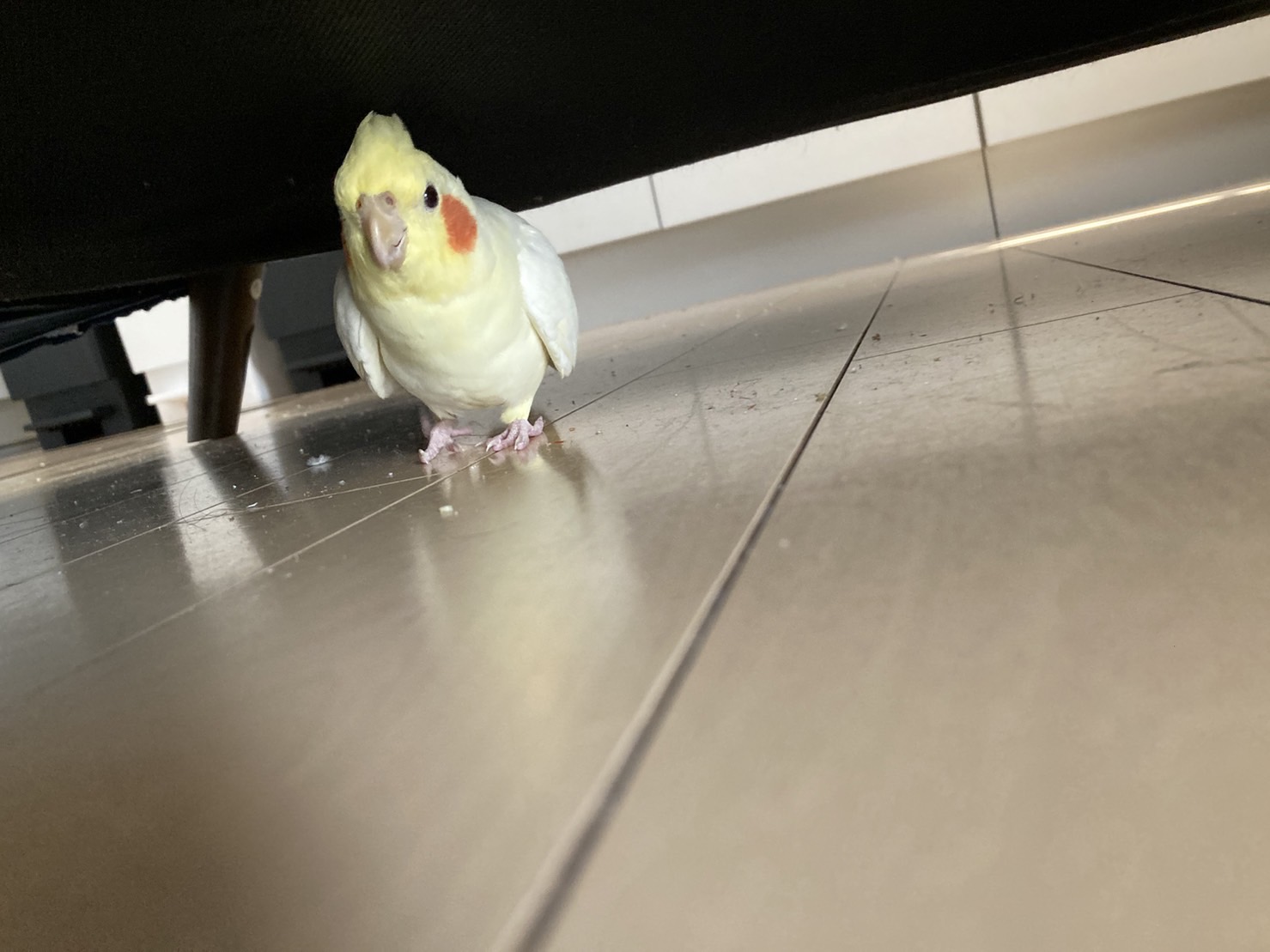 ユーザーの写真