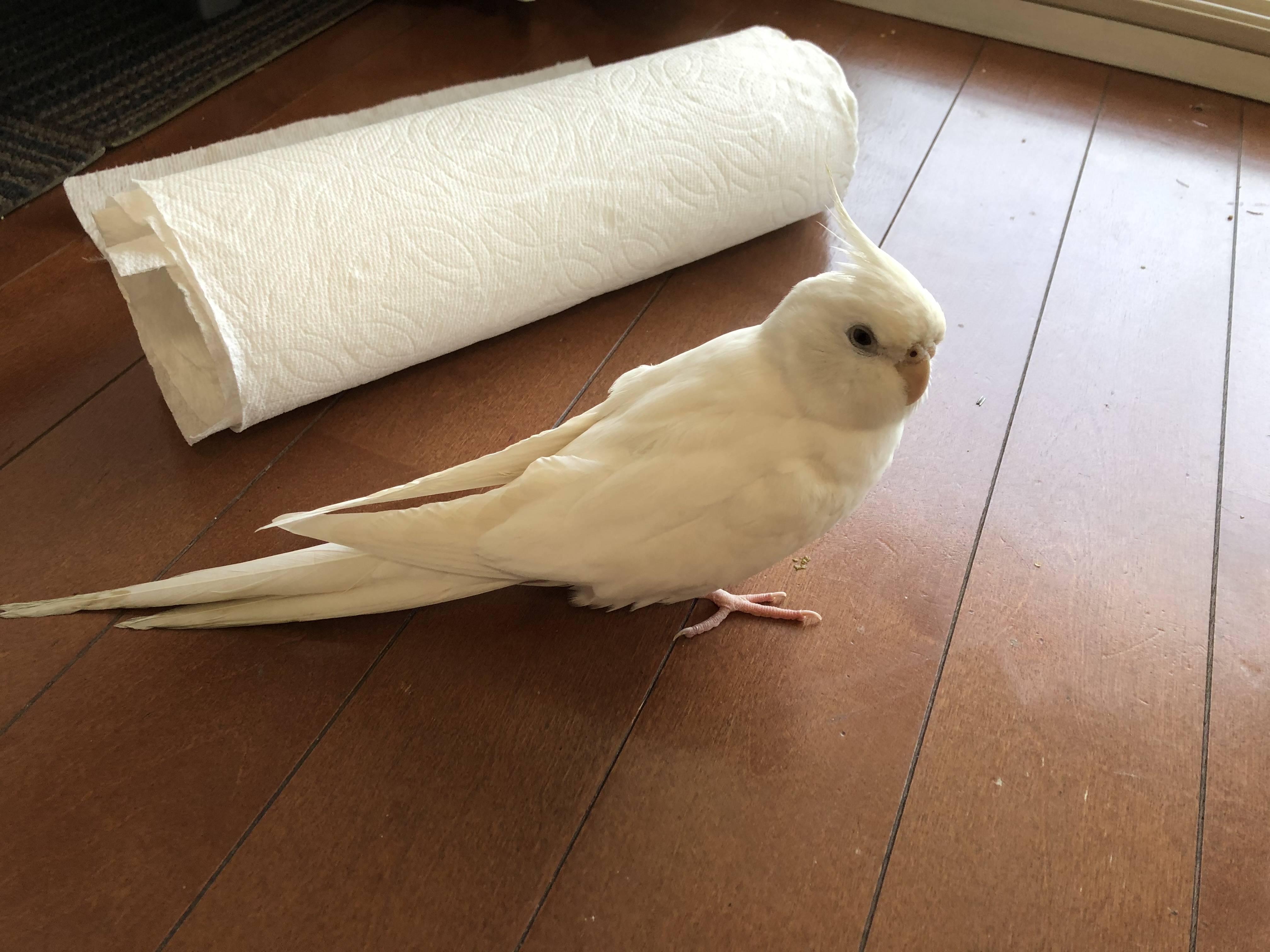 ユーザーの写真