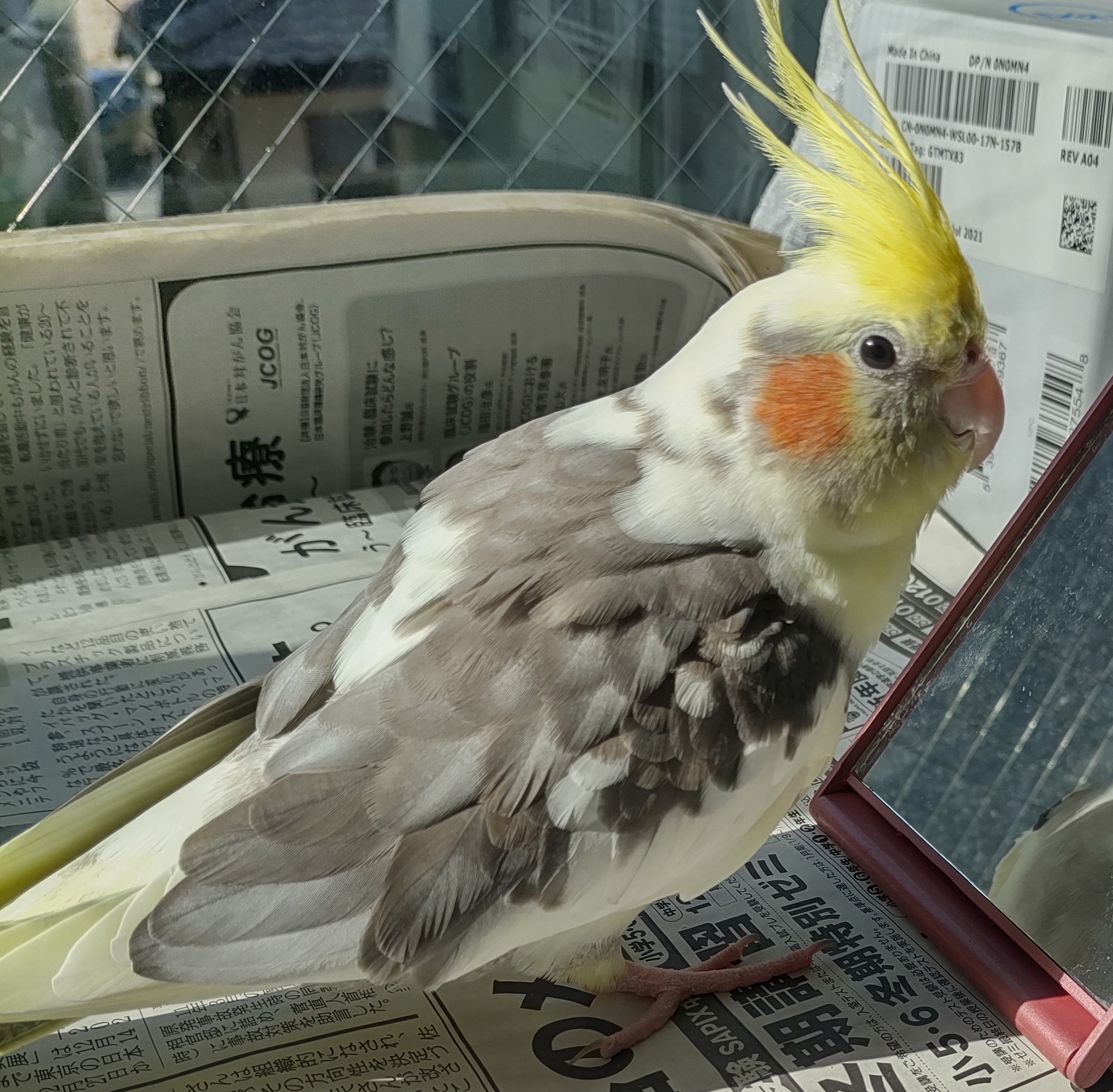 ユーザーの写真