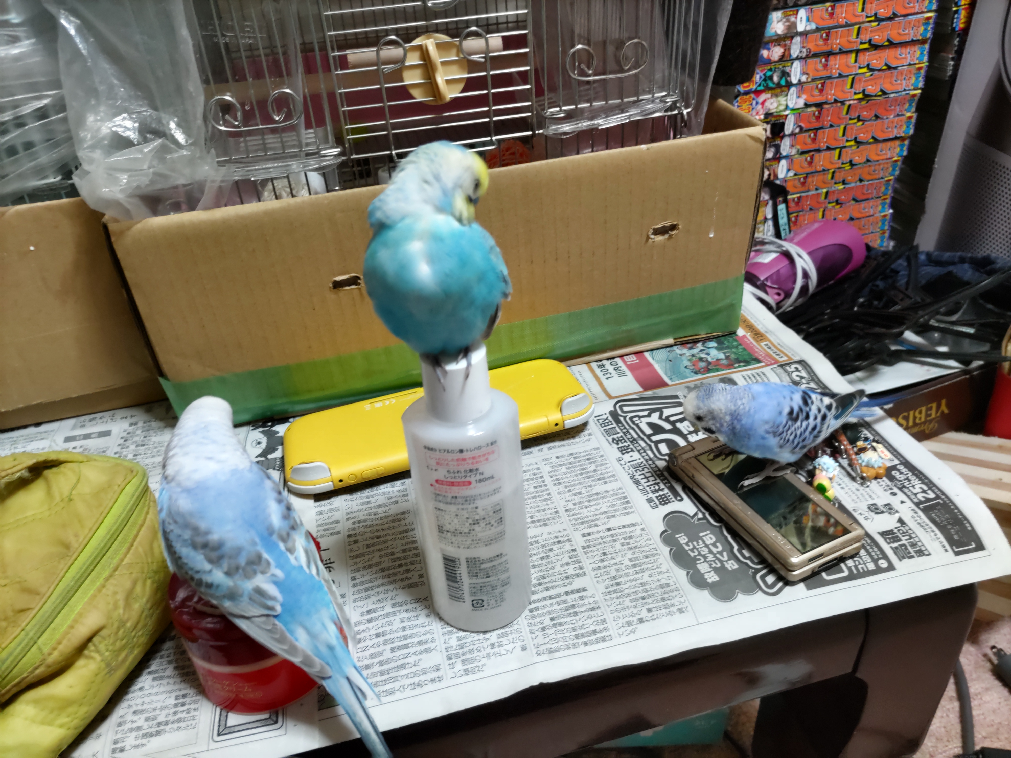 ユーザーの写真