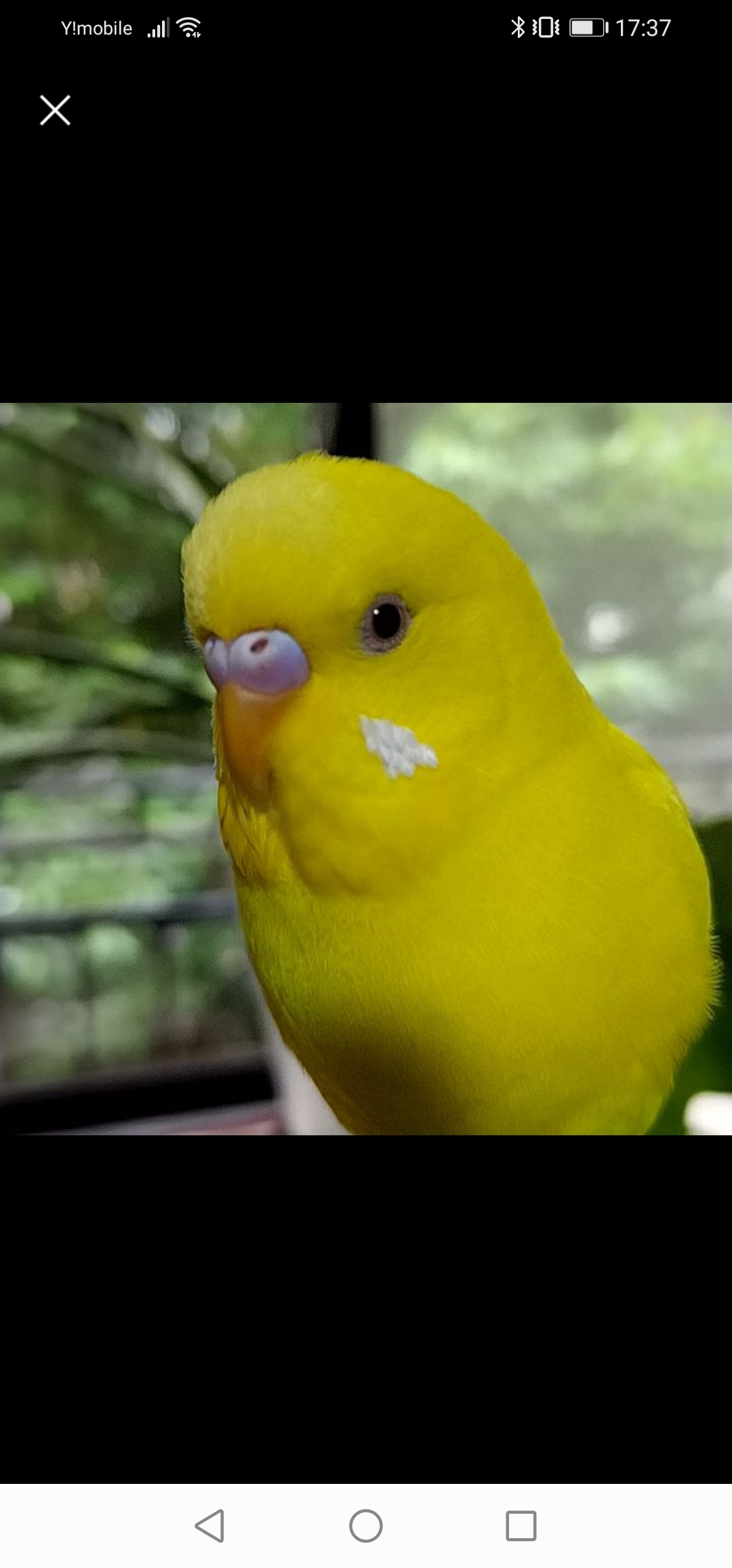 ユーザーの写真