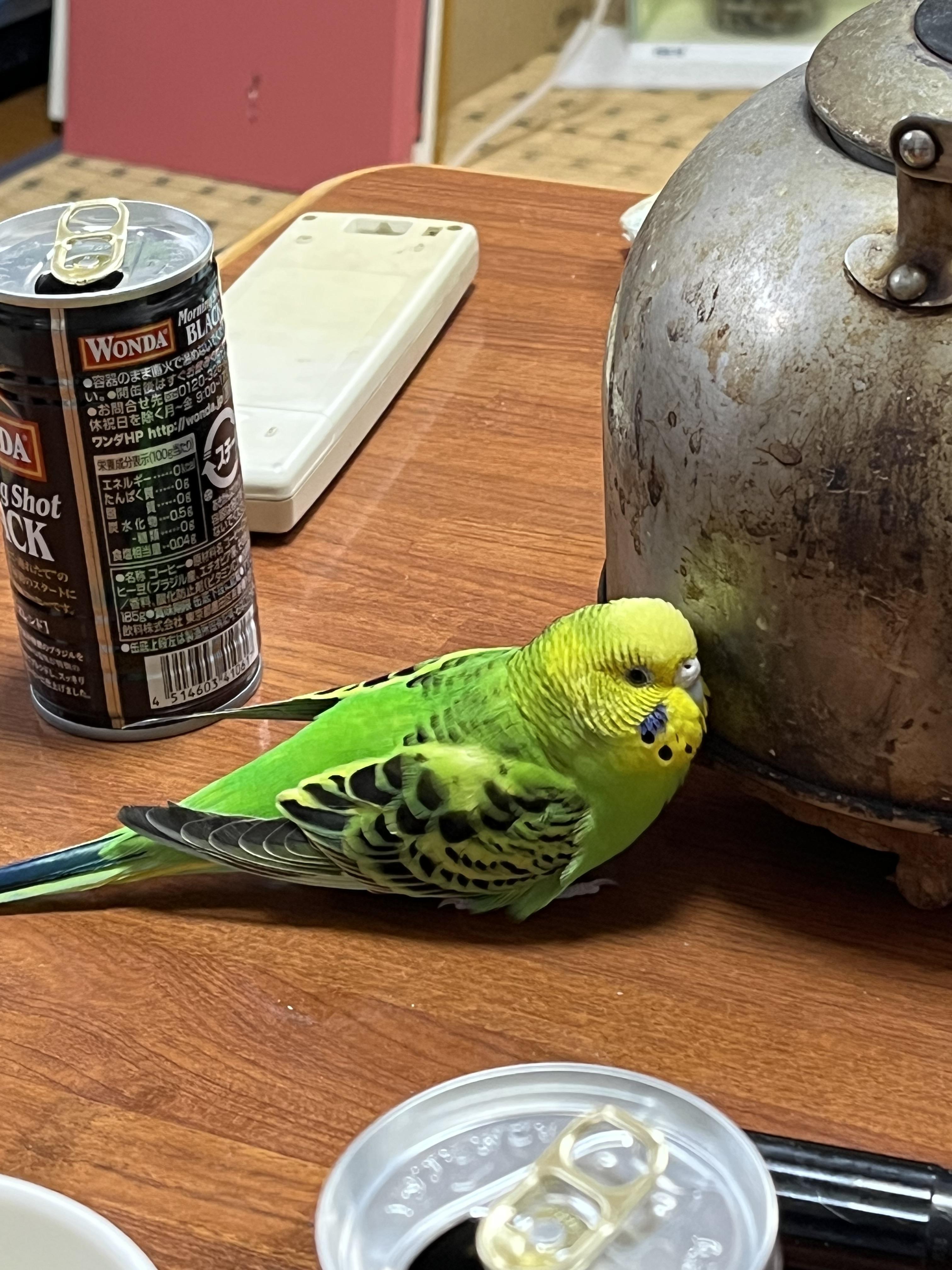 ユーザーの写真