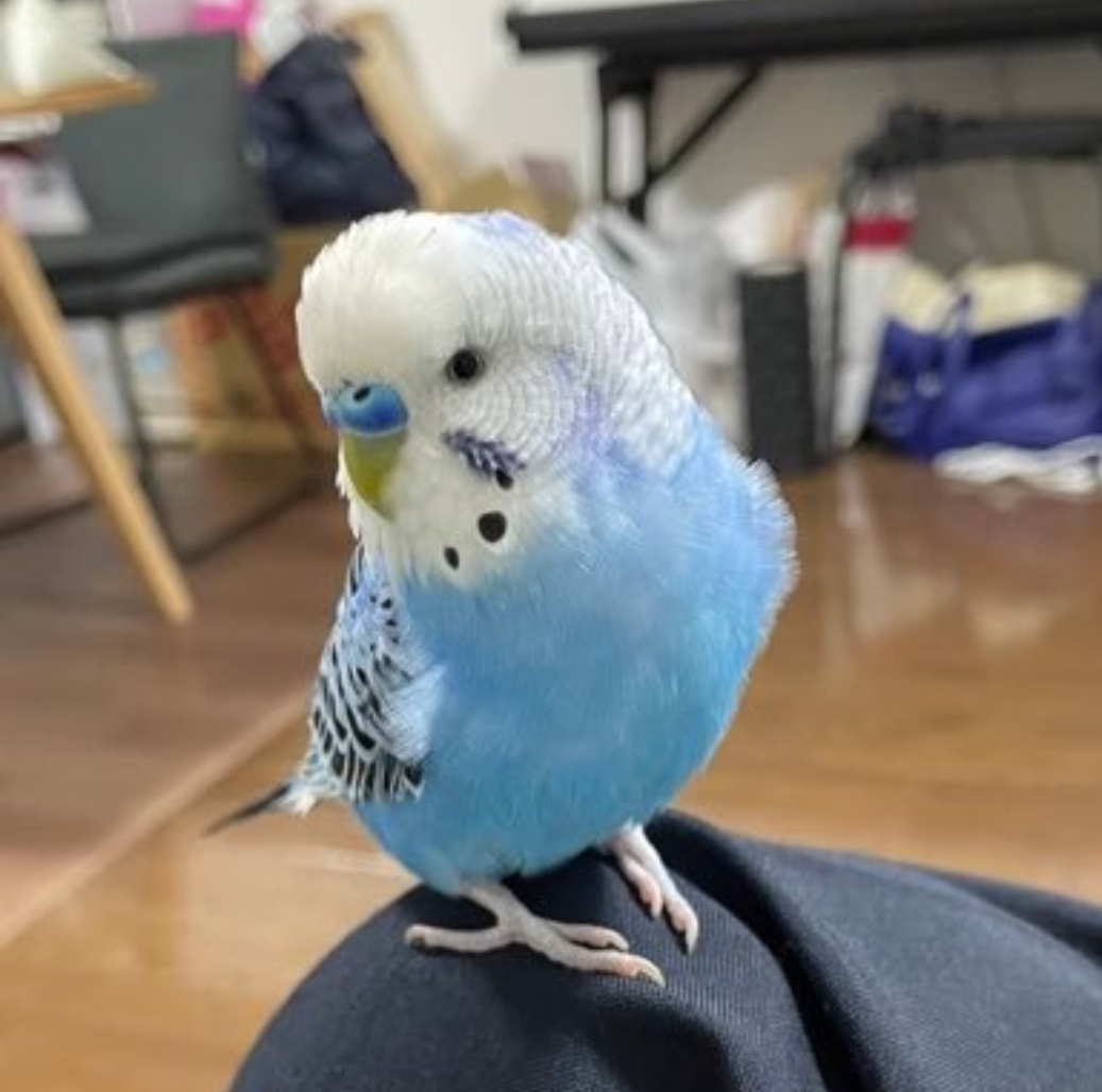 ユーザーの写真