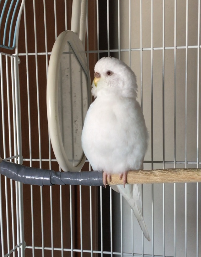 ユーザーの写真