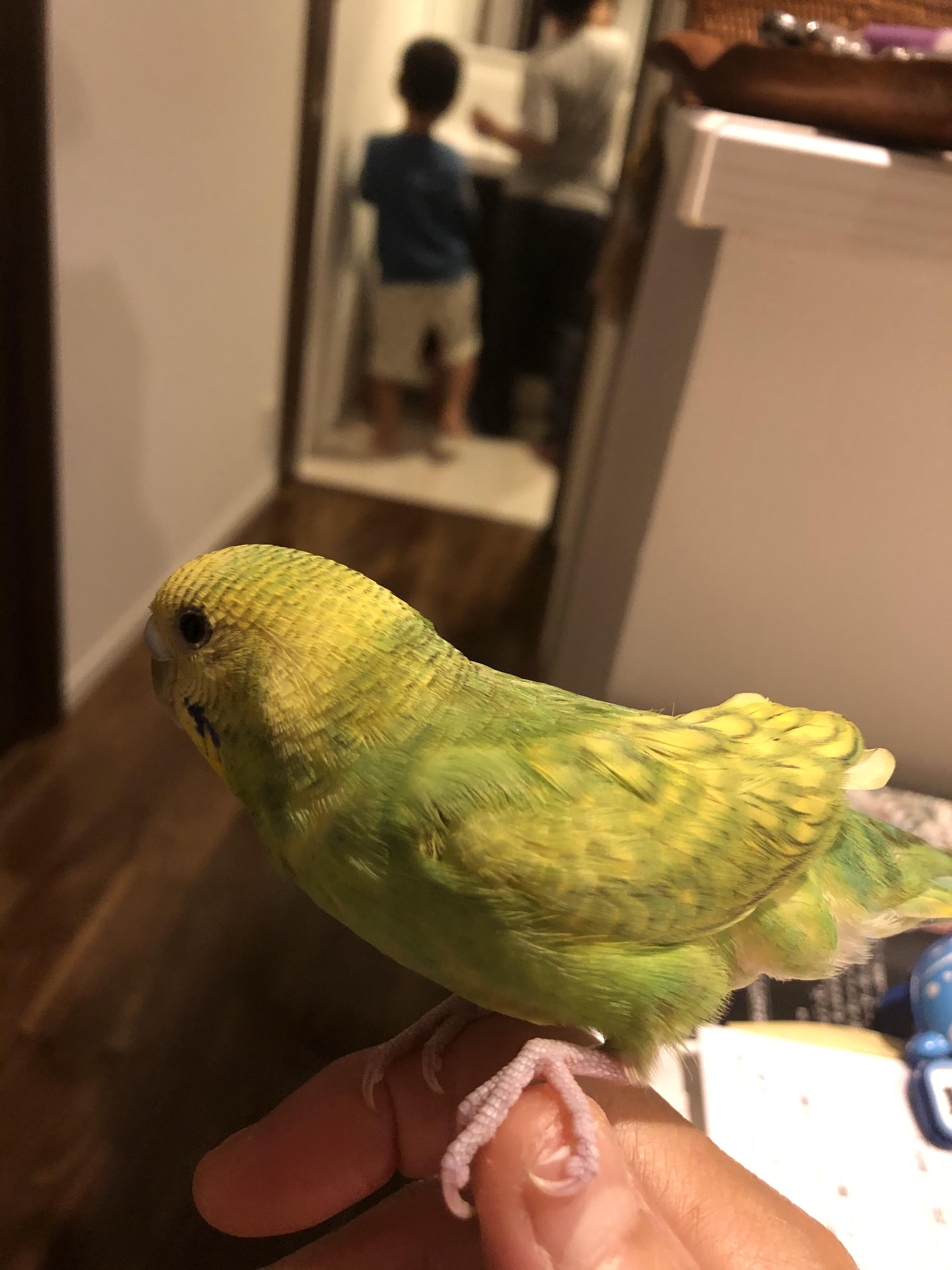 ユーザーの写真