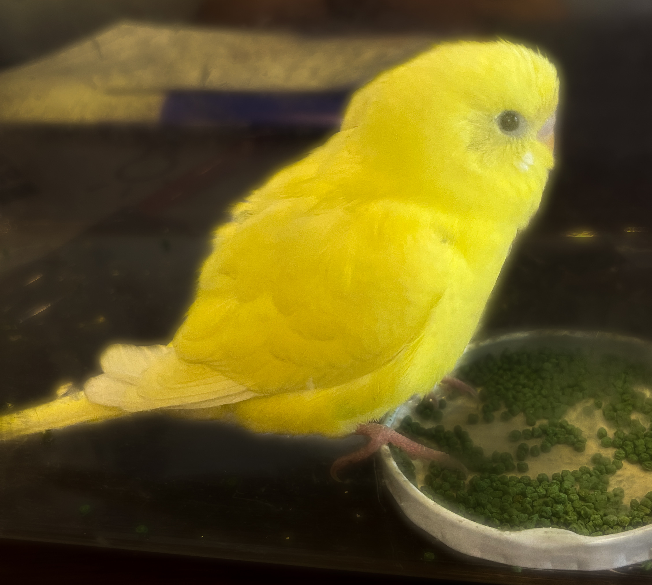 ユーザーの写真