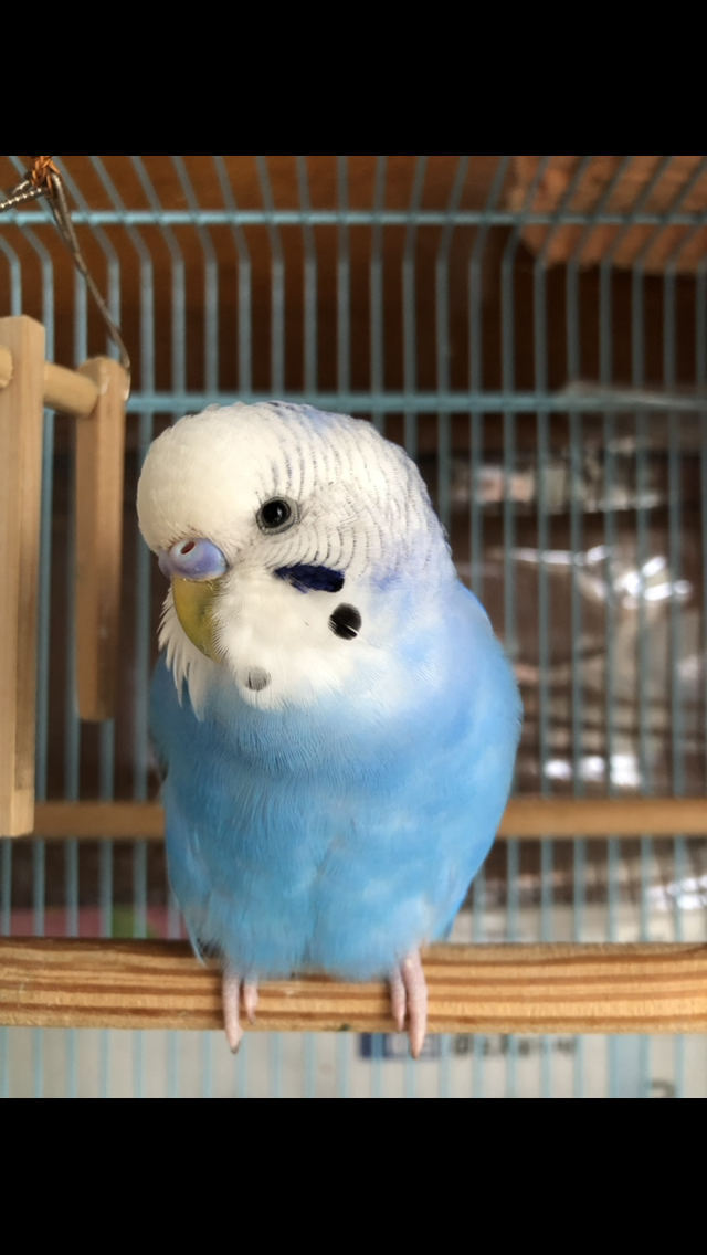 ユーザーの写真