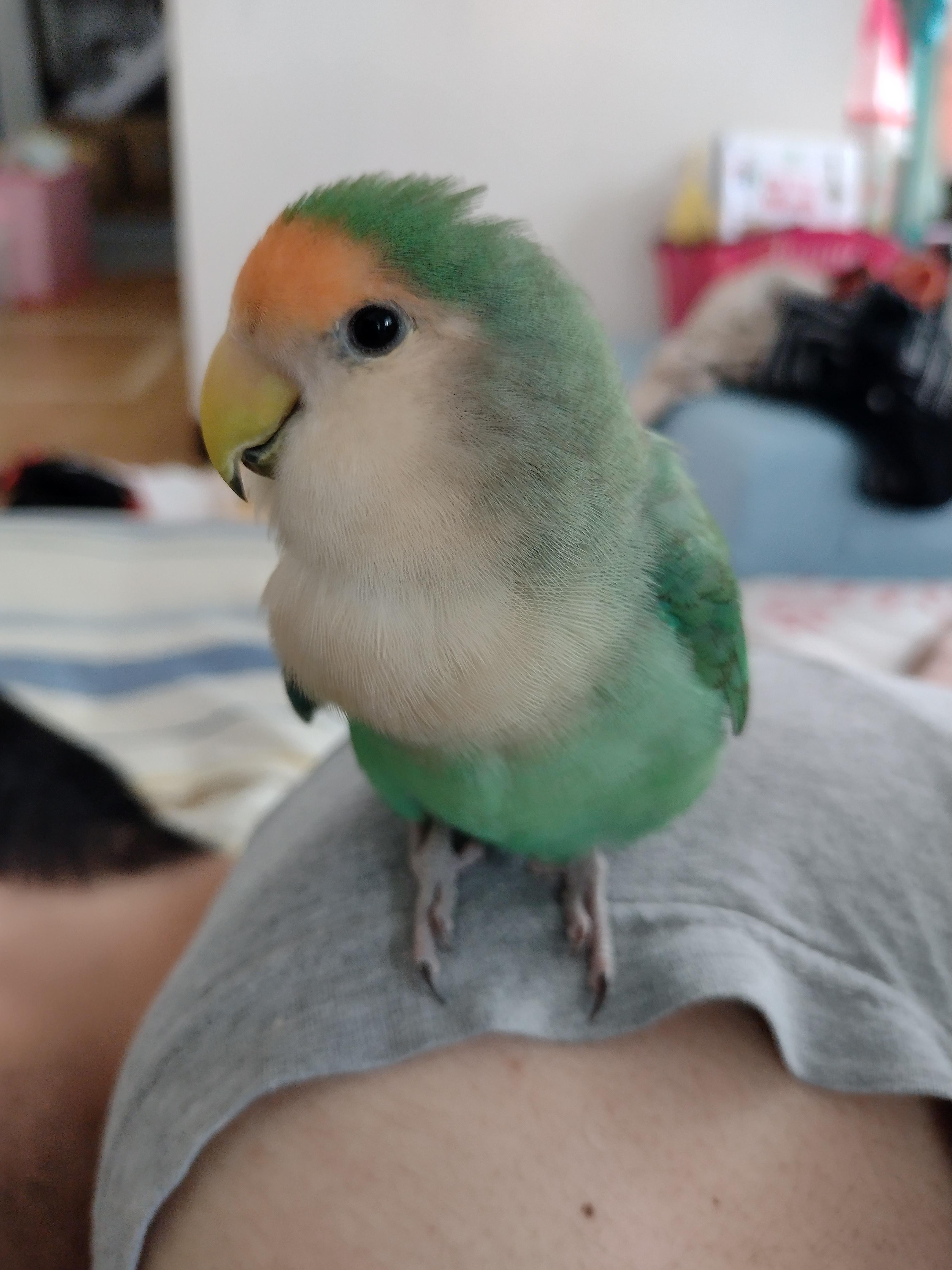 ユーザーの写真