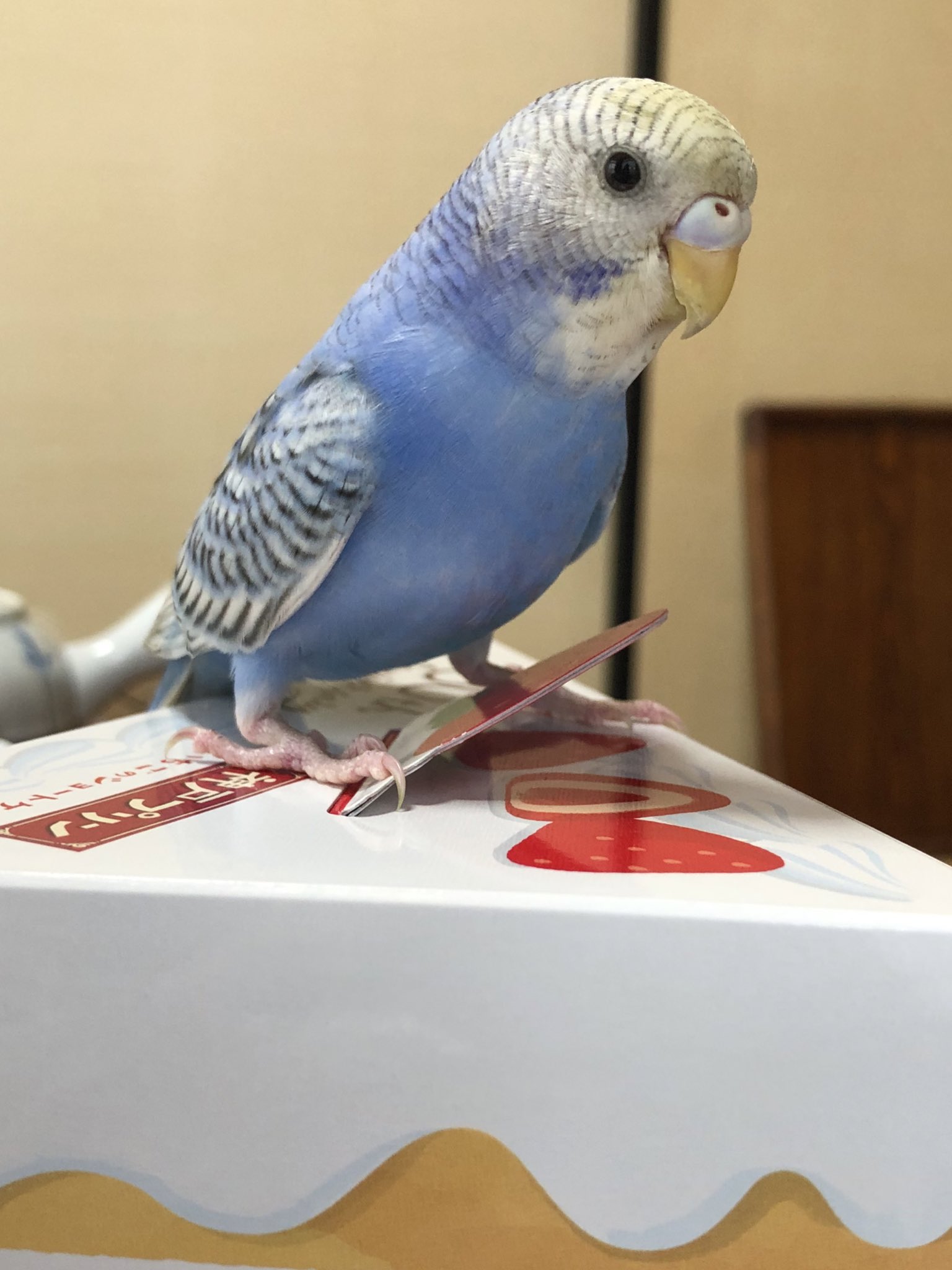 ユーザーの写真