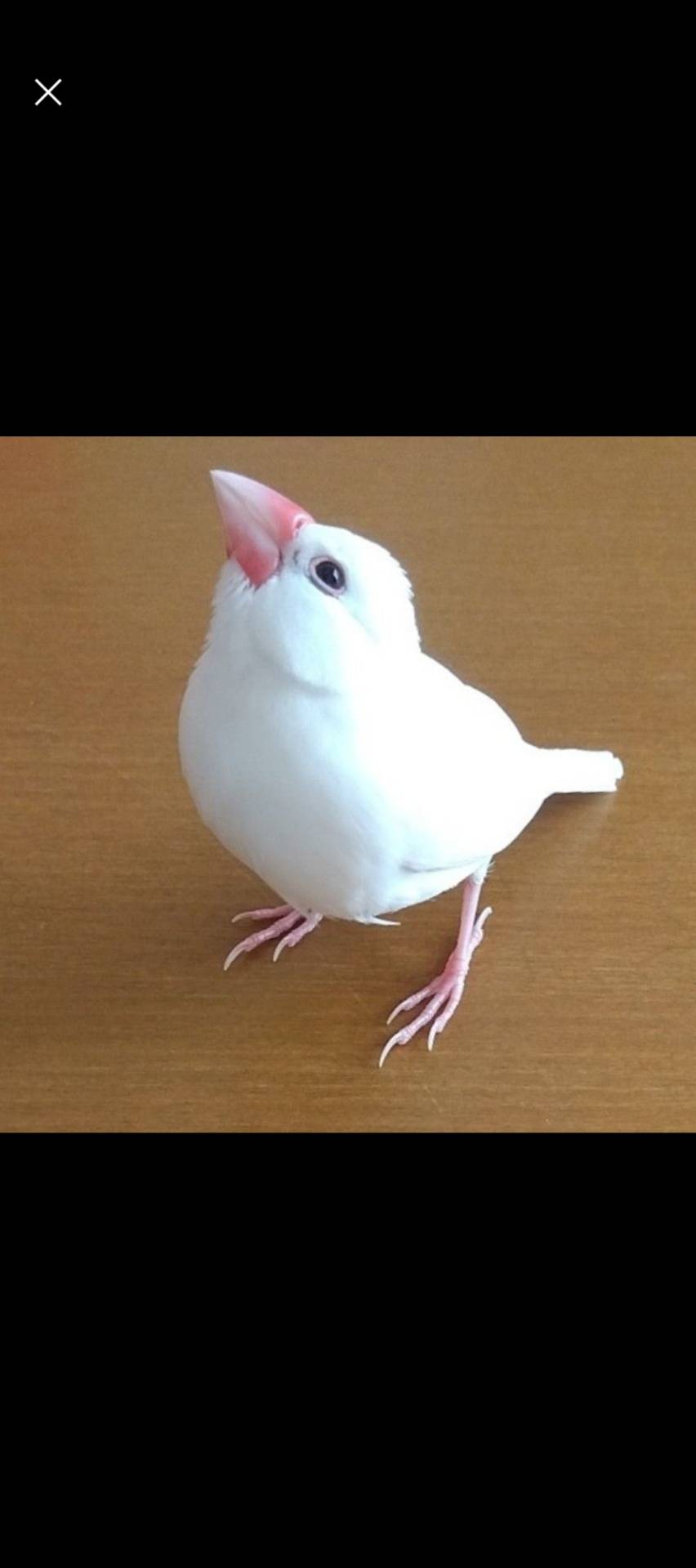 ユーザーの写真