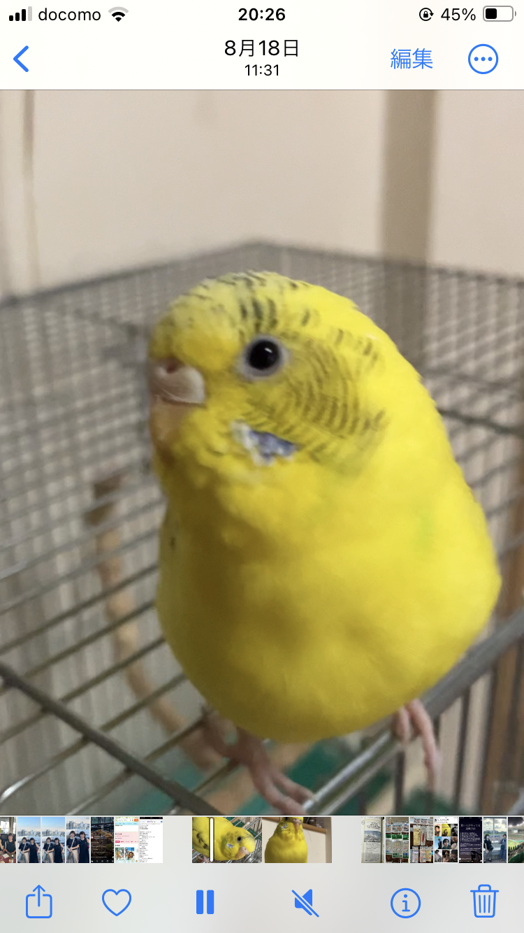 ユーザーの写真