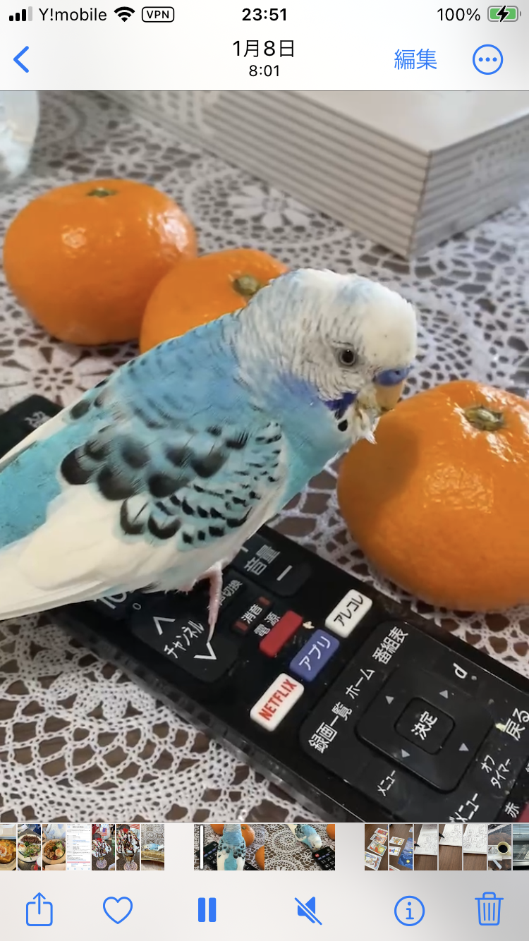 ユーザーの写真