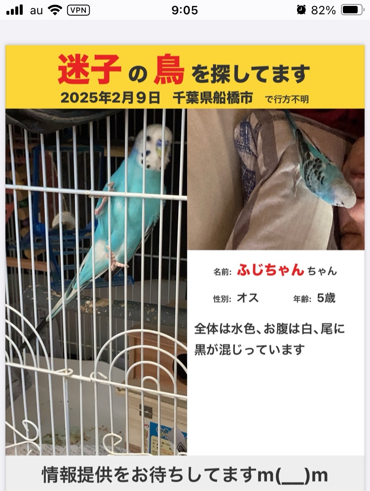 ユーザーの写真